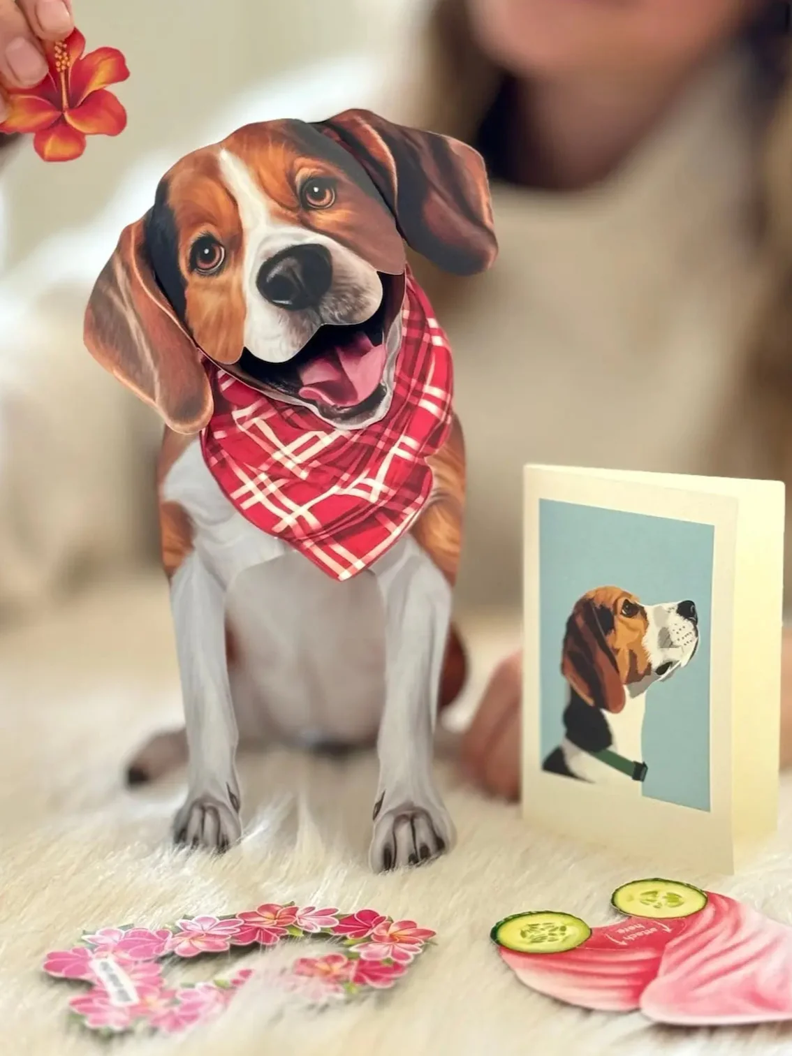 Beagle - Image 3