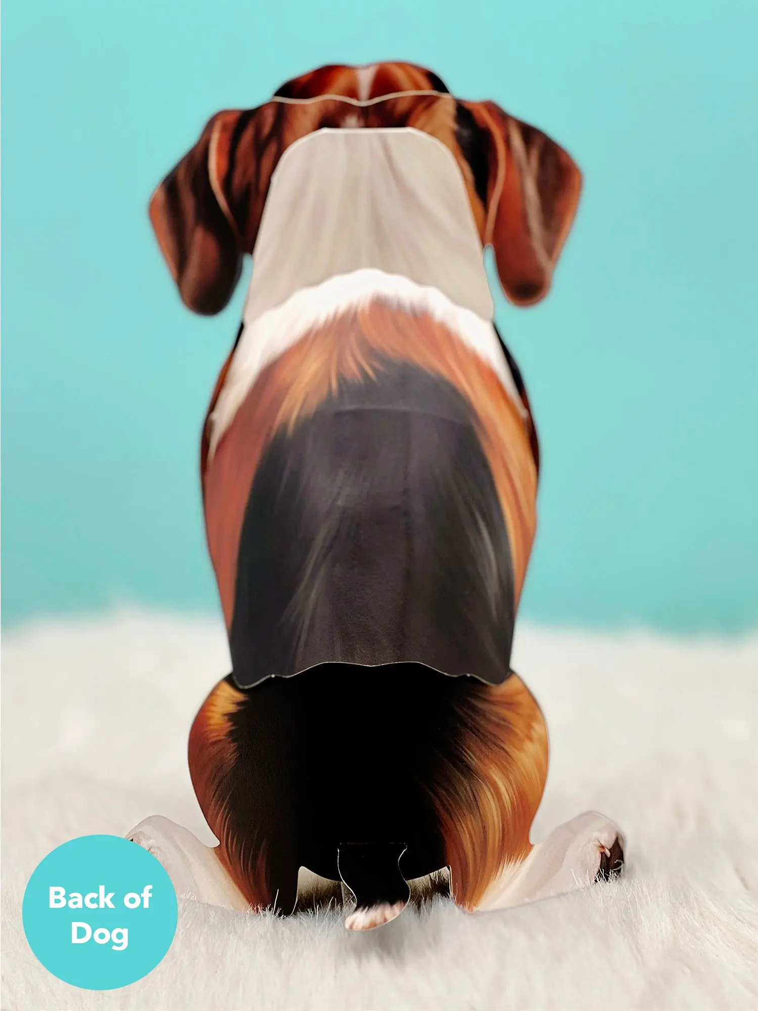 Beagle - Image 4
