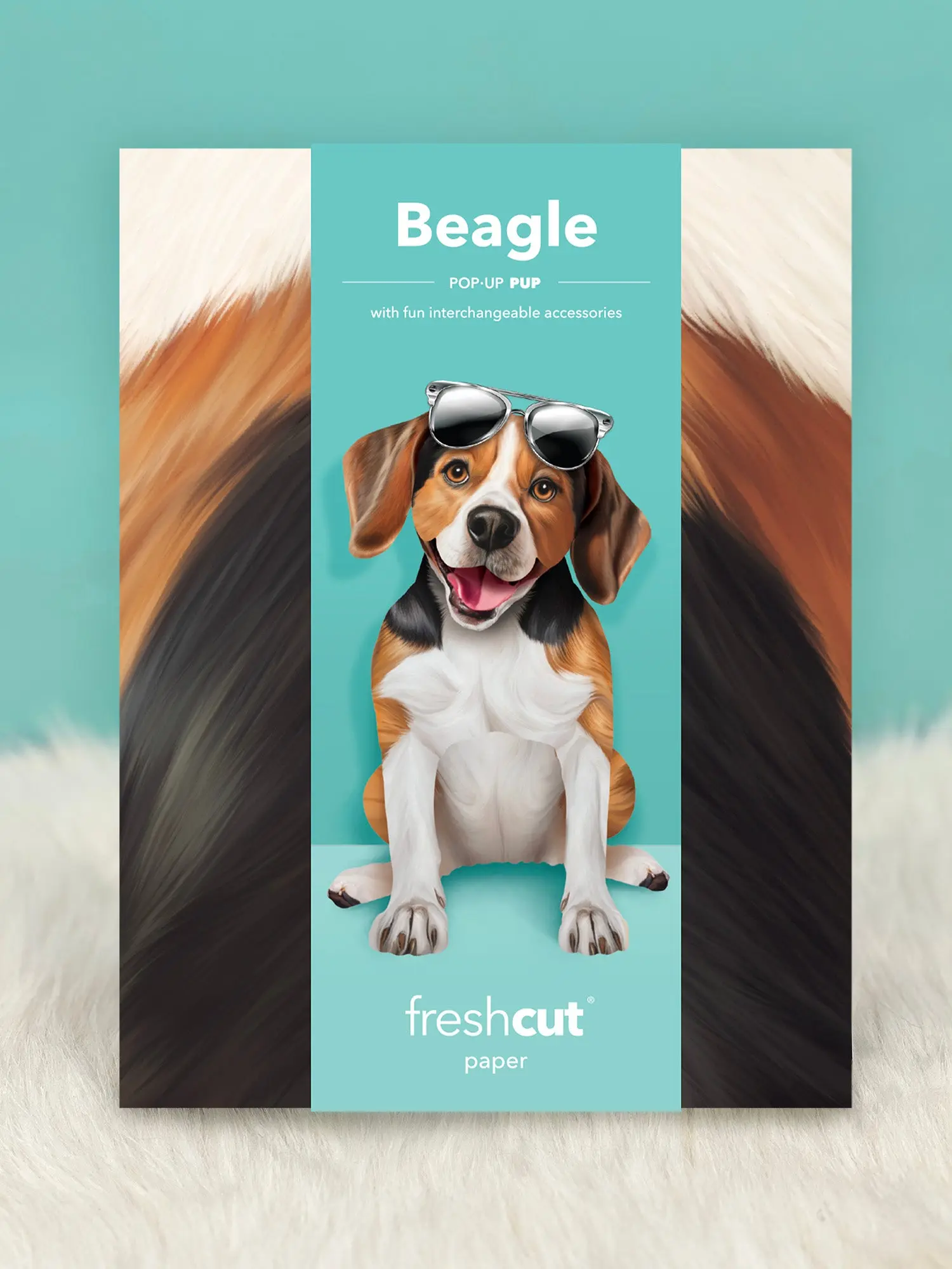 Beagle - Image 5