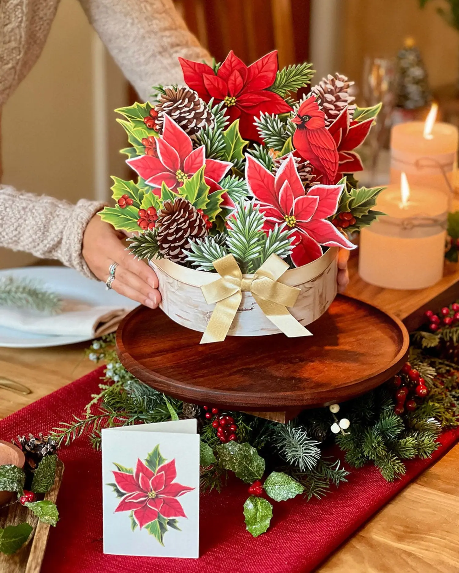 Birch Poinsettia - Image 3