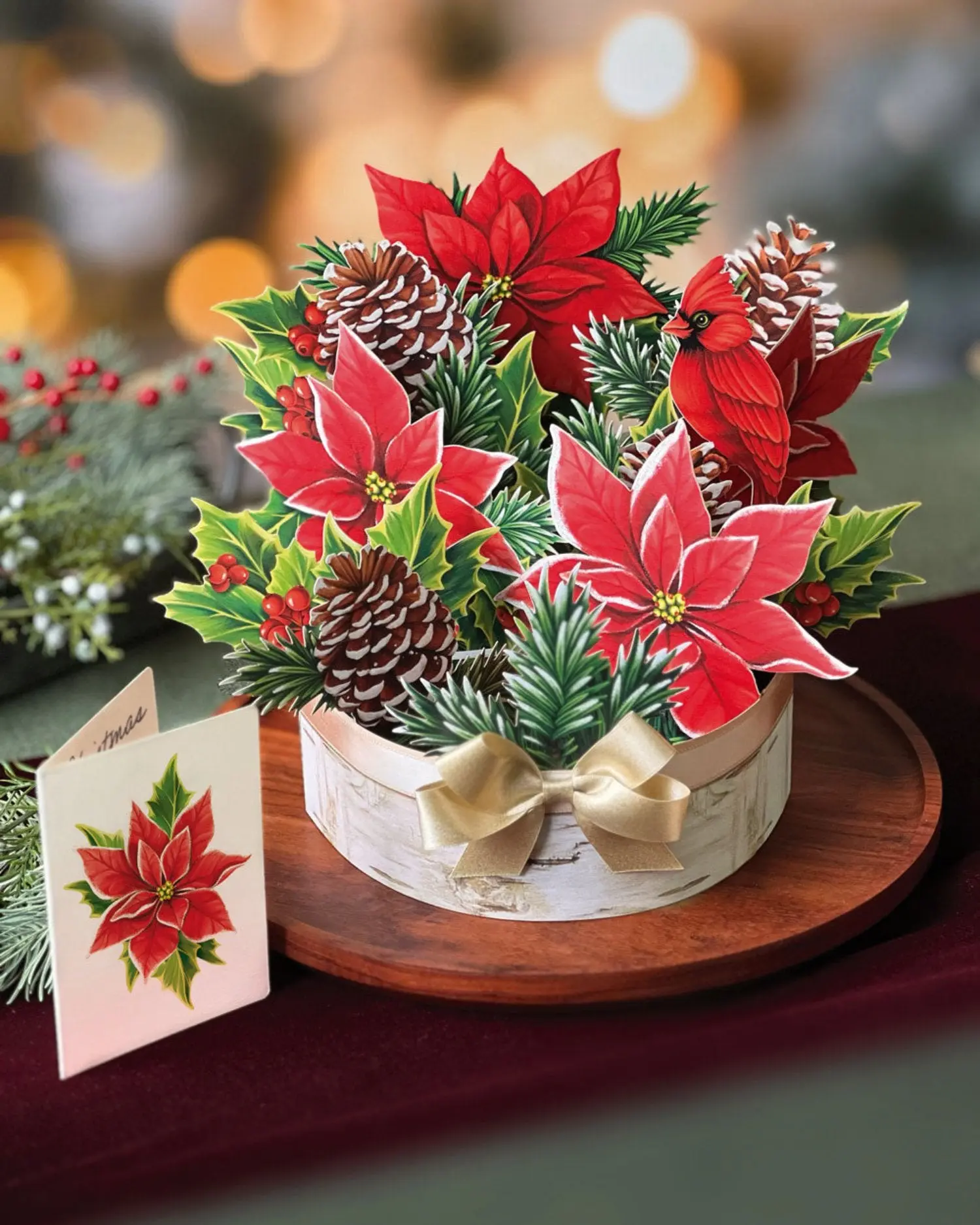 Birch Poinsettia - Image 4