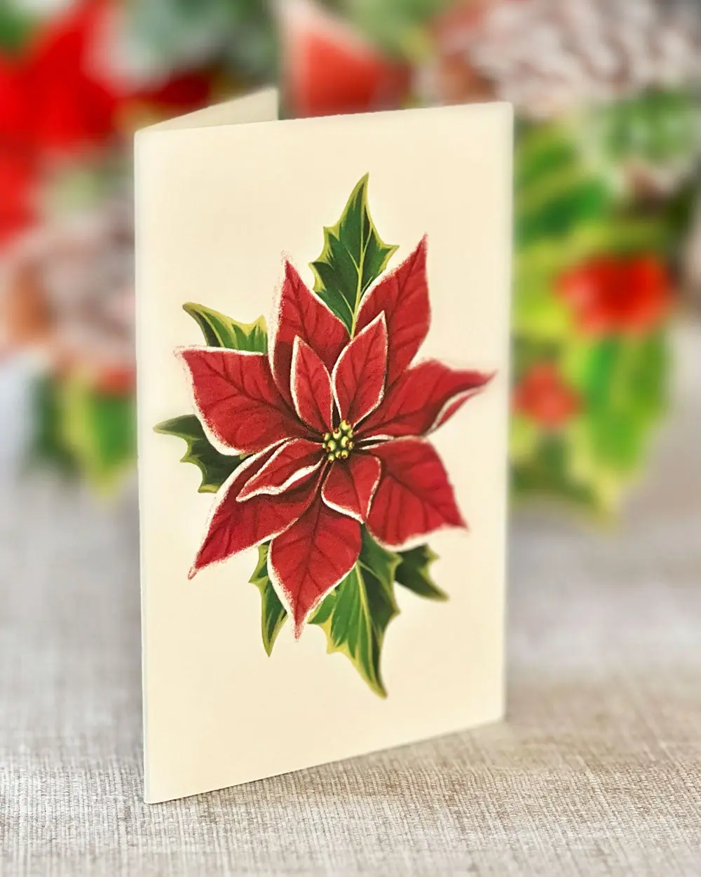 Birch Poinsettia - Image 5