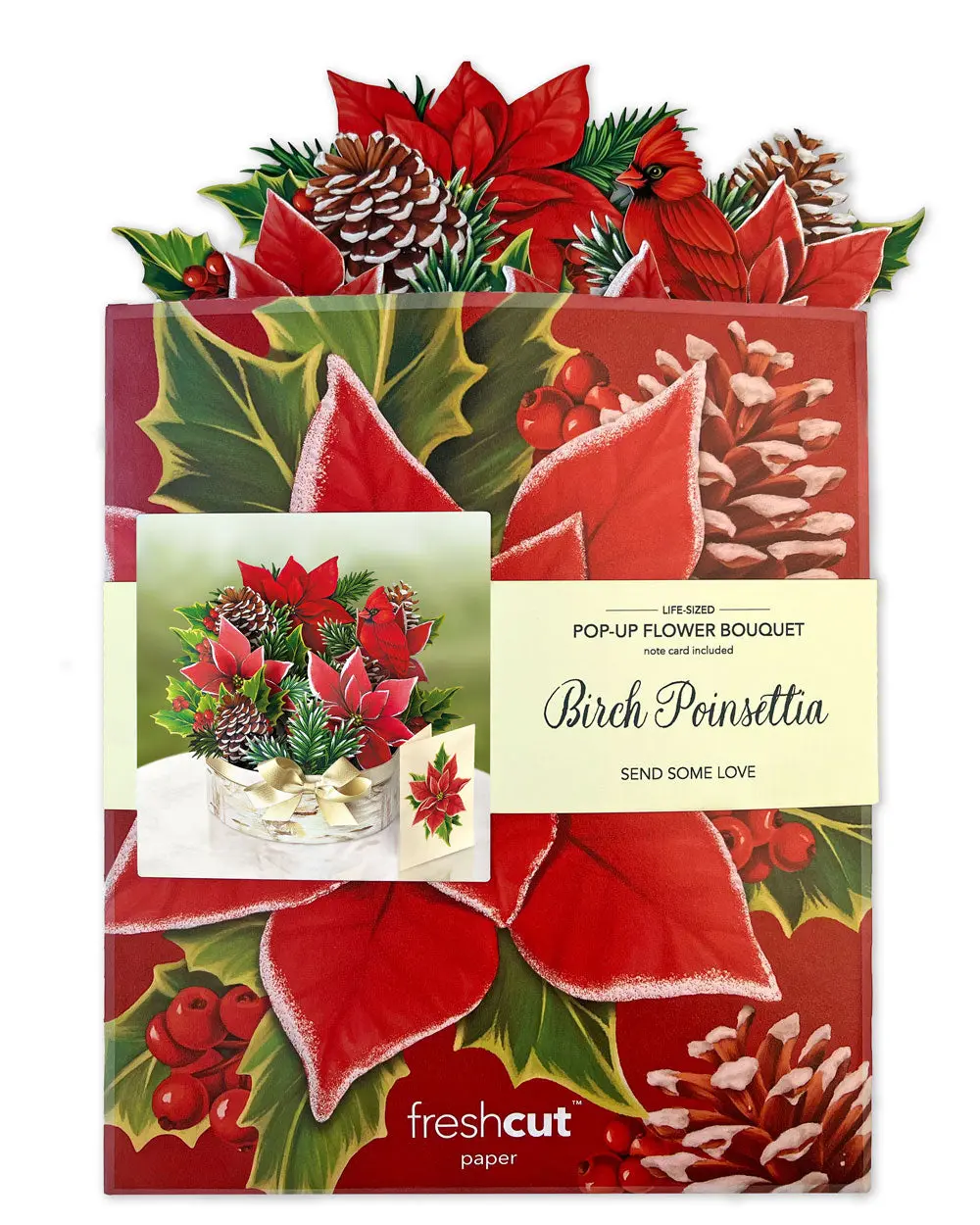 Birch Poinsettia - Image 6