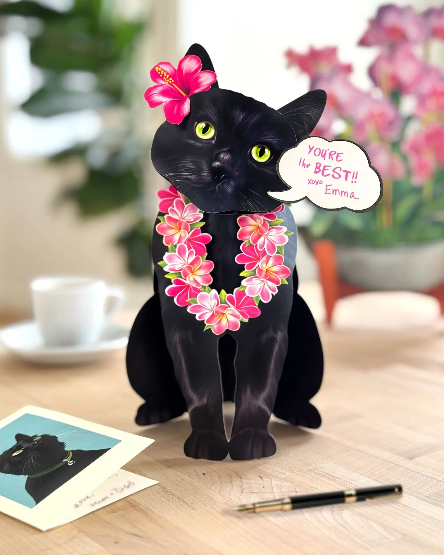 Black Cat - Image 3