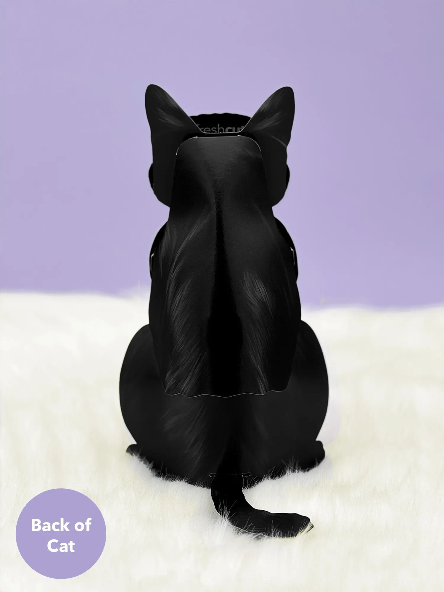 Black Cat - Image 4