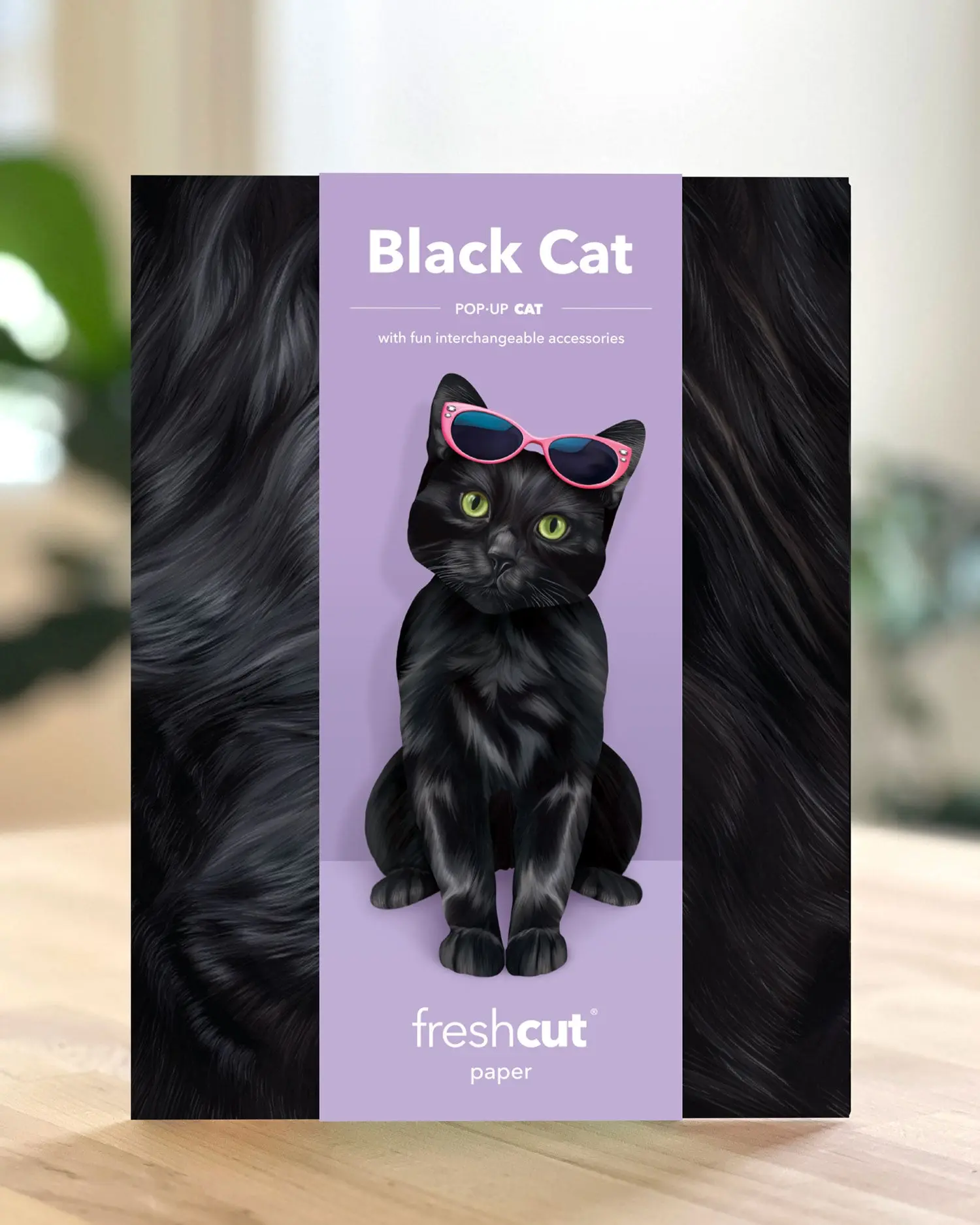 Black Cat - Image 5