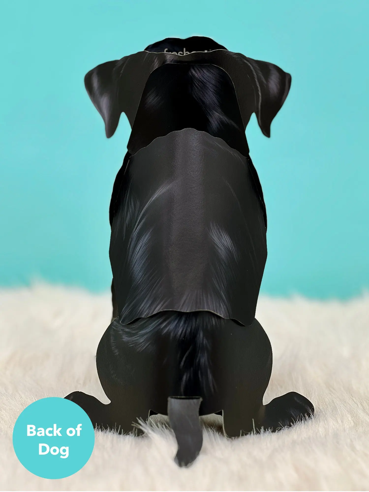 Black Lab - Image 4