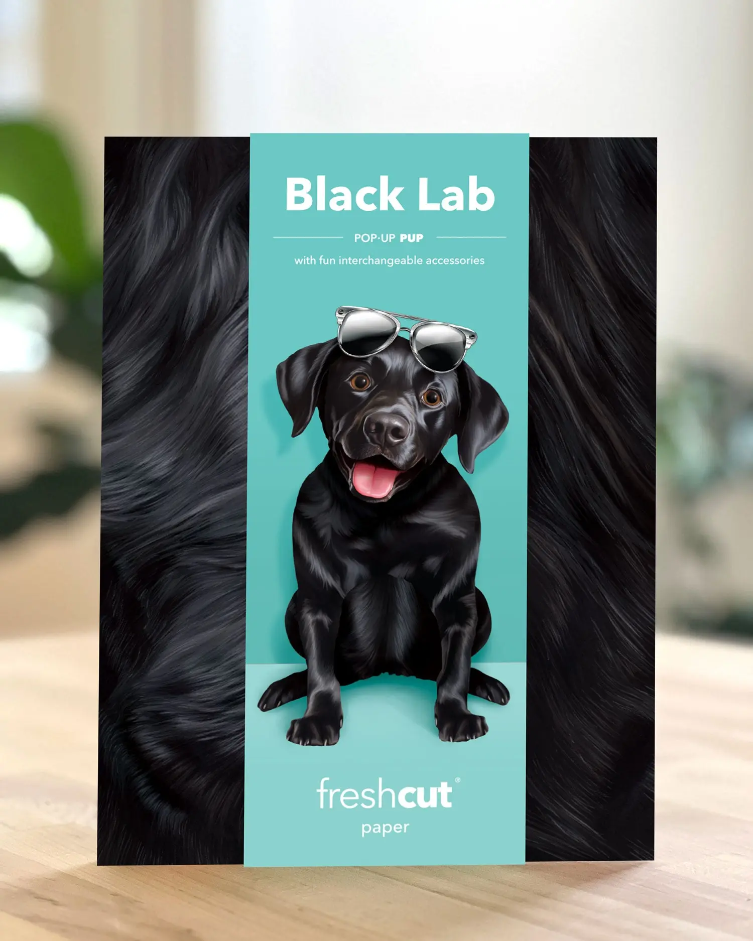 Black Lab - Image 5