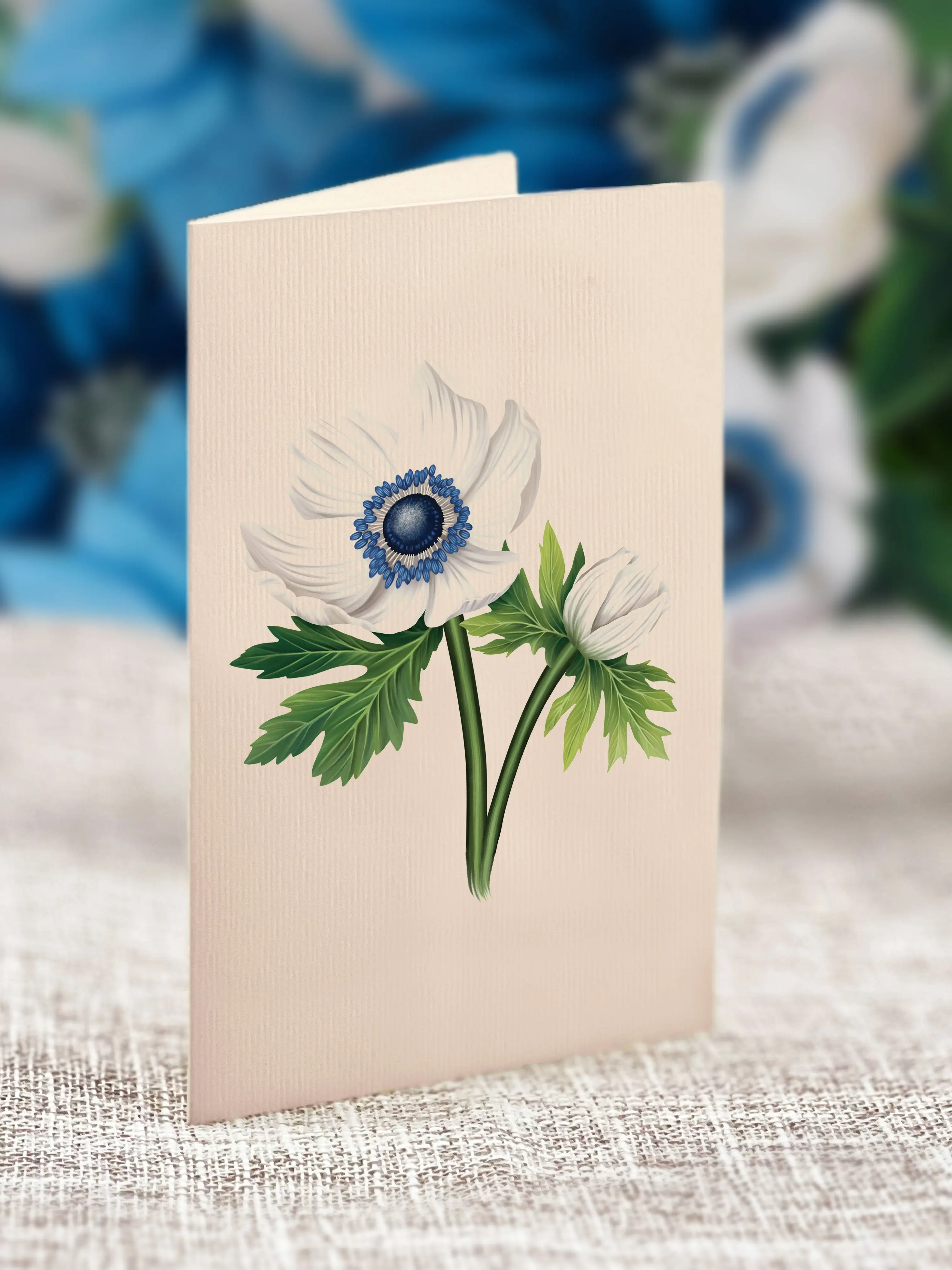 Blue Poinsettia - Image 6