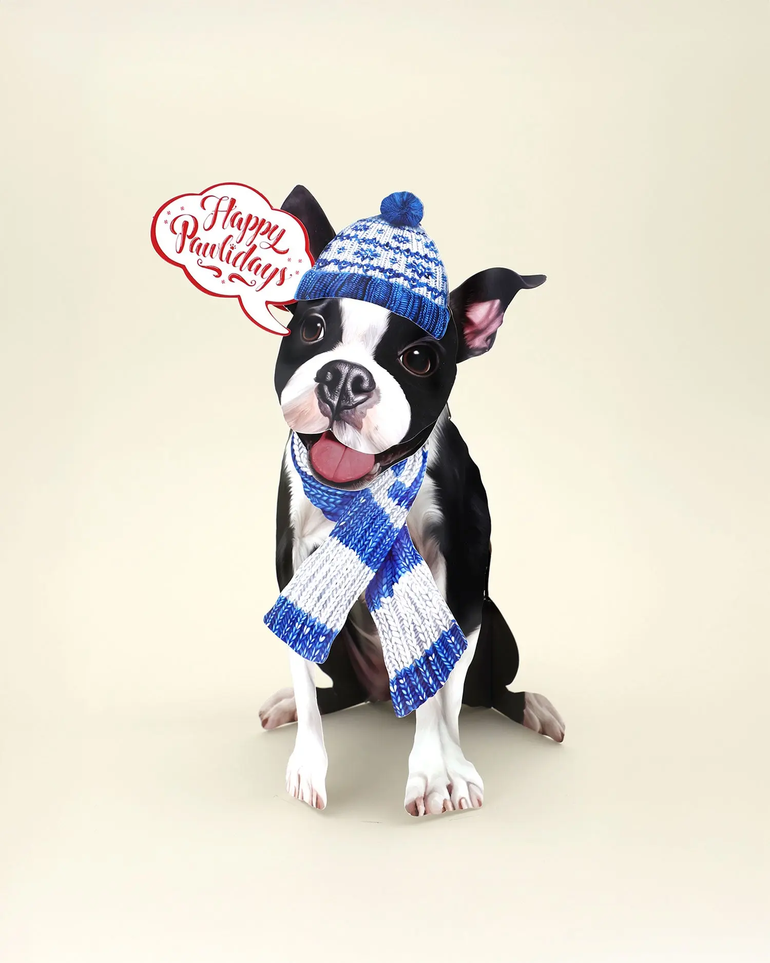 Holiday Boston Terrier
