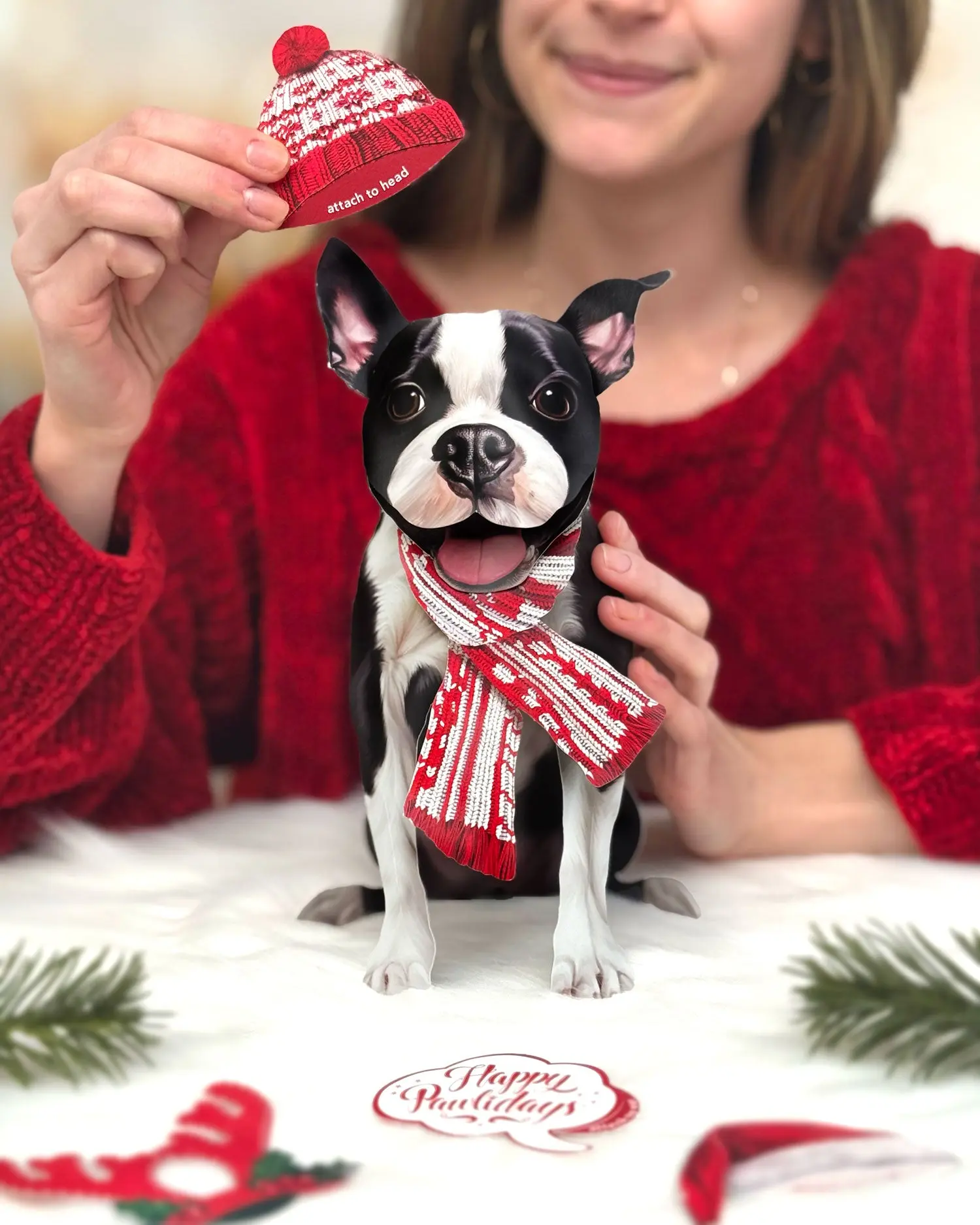 Holiday Boston Terrier - Image 2