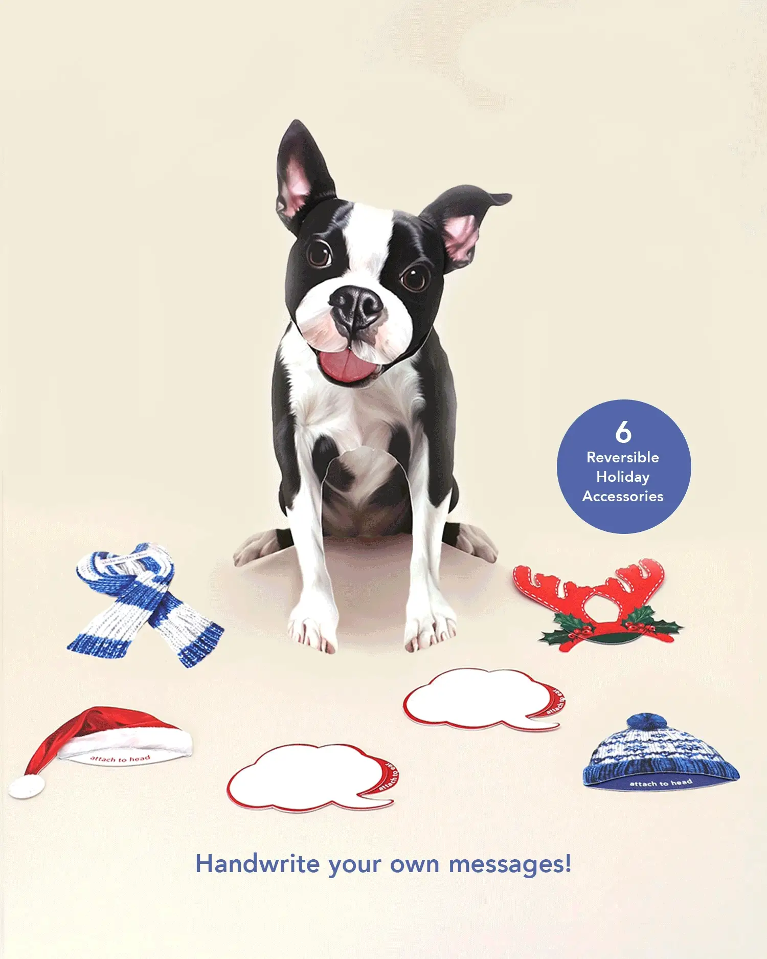 Holiday Boston Terrier - Image 3