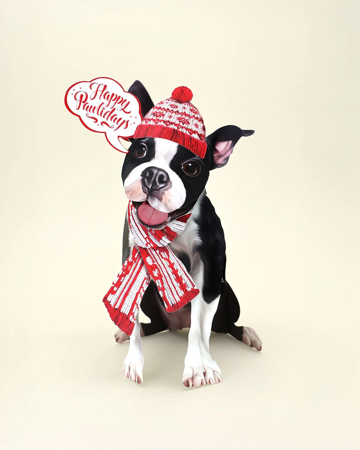 Holiday Boston Terrier - Image 4