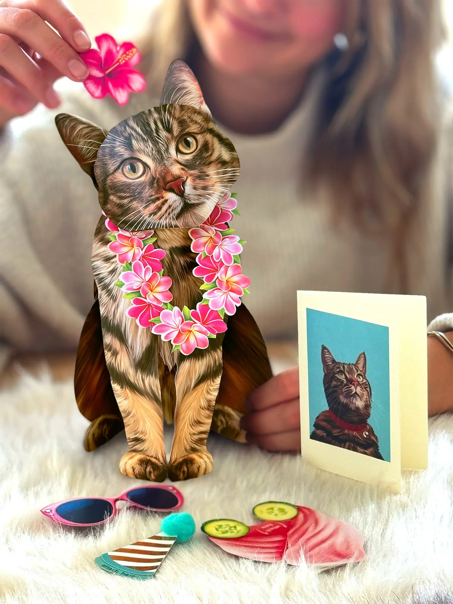 Brown Tabby Cat - Image 3