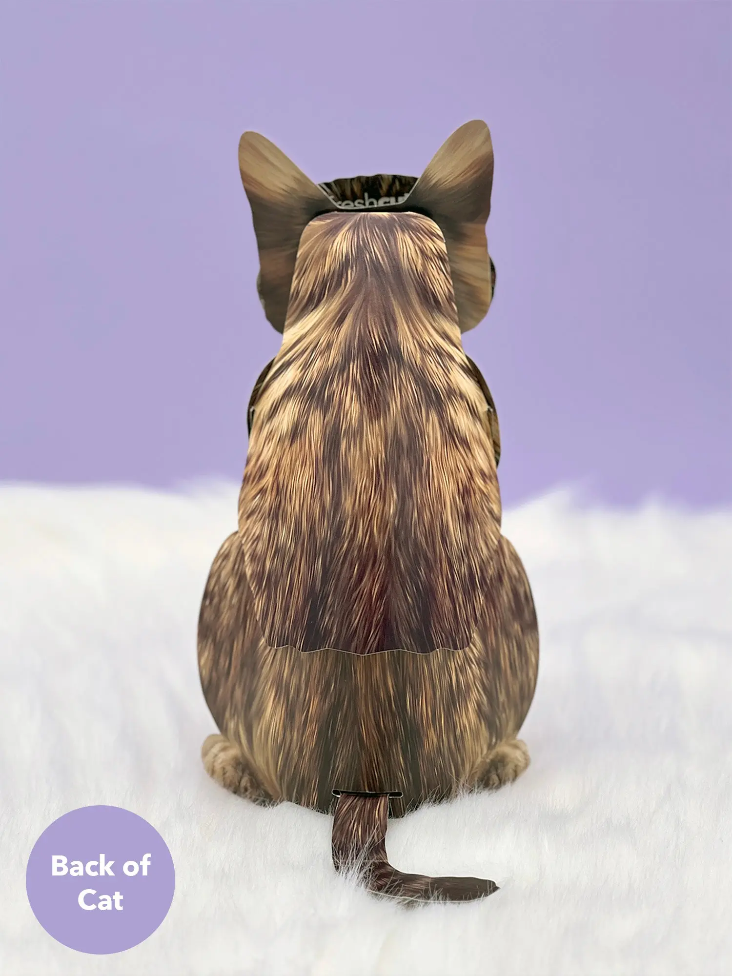 Brown Tabby Cat - Image 4
