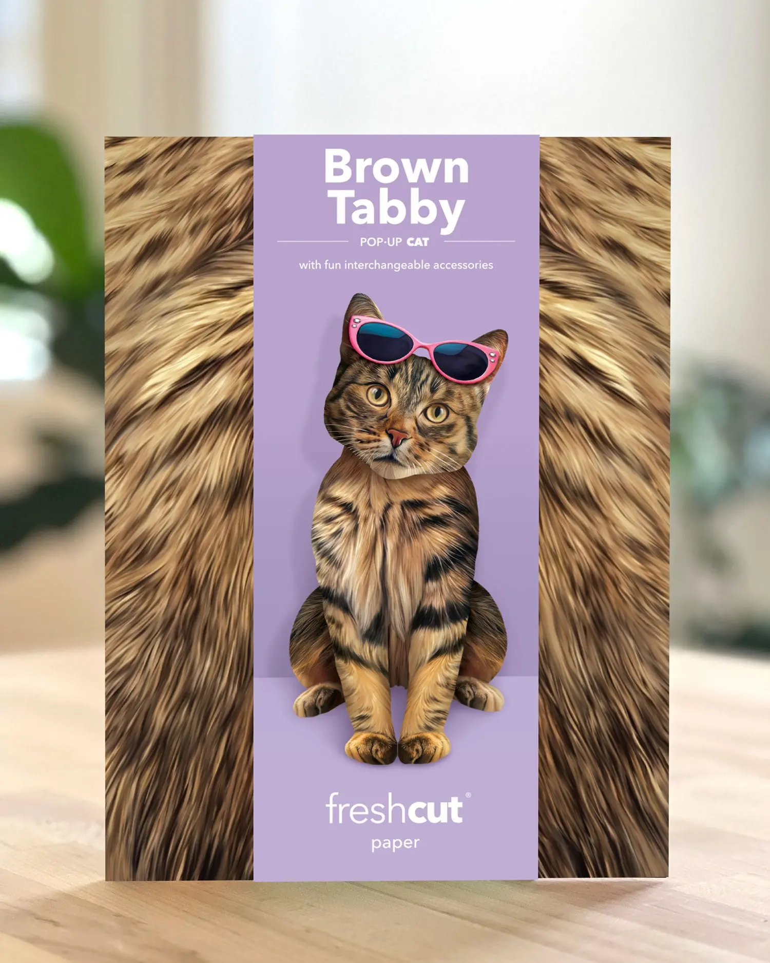Brown Tabby Cat - Image 5