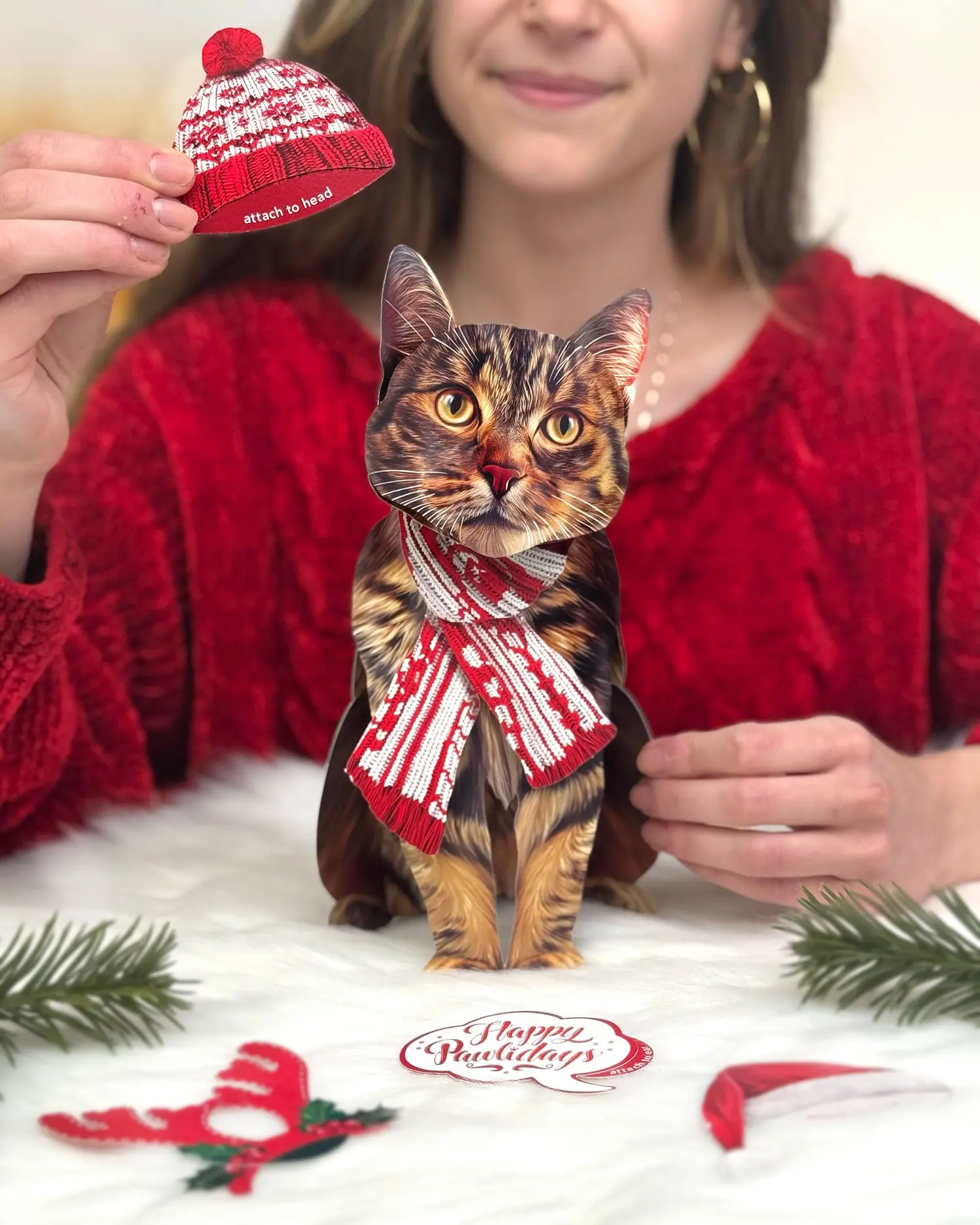 Holiday Brown Tabby Cat - Image 2
