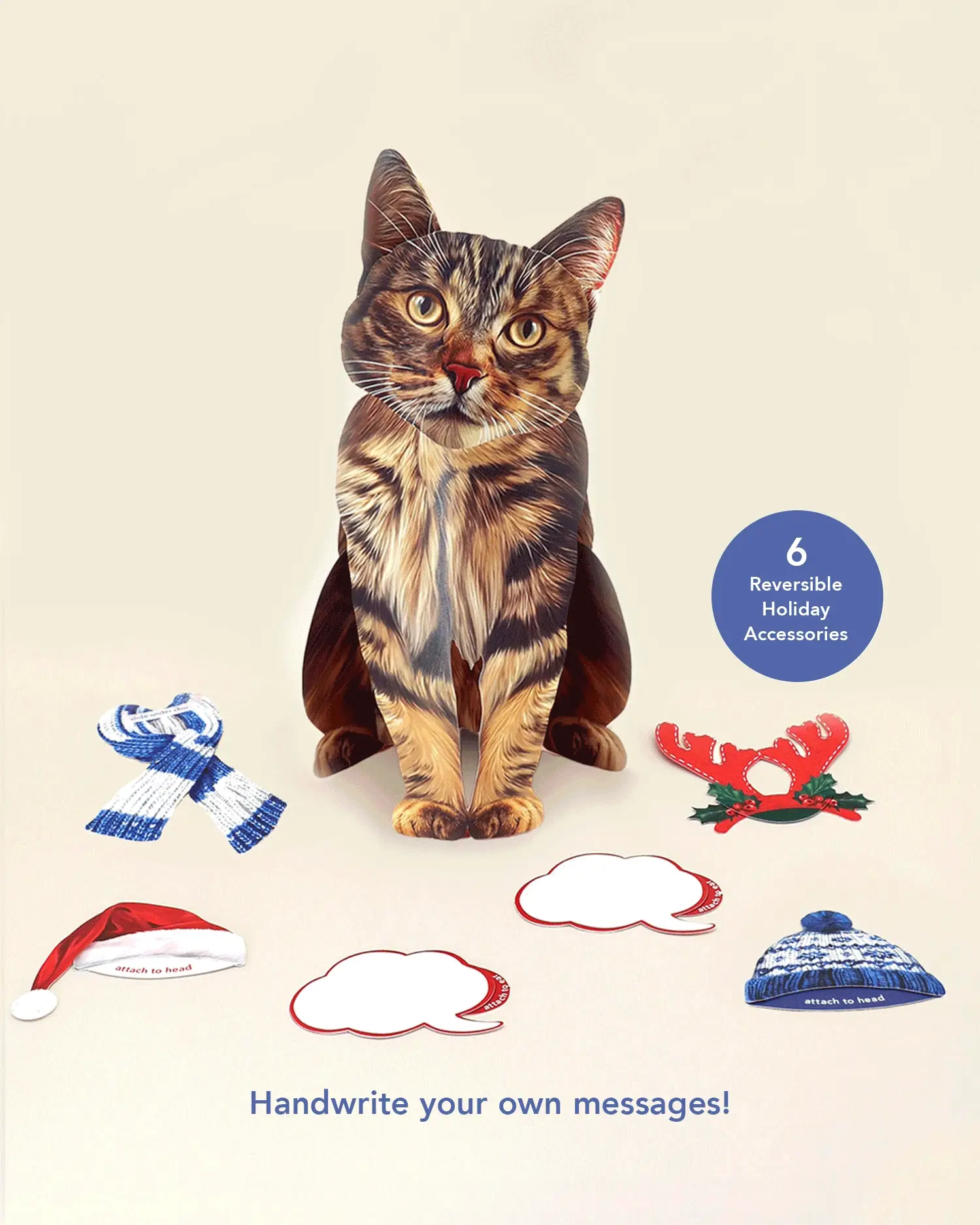 Holiday Brown Tabby Cat - Image 3