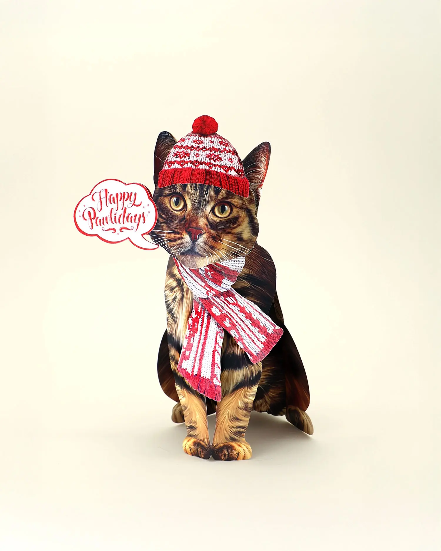 Holiday Brown Tabby Cat - Image 4