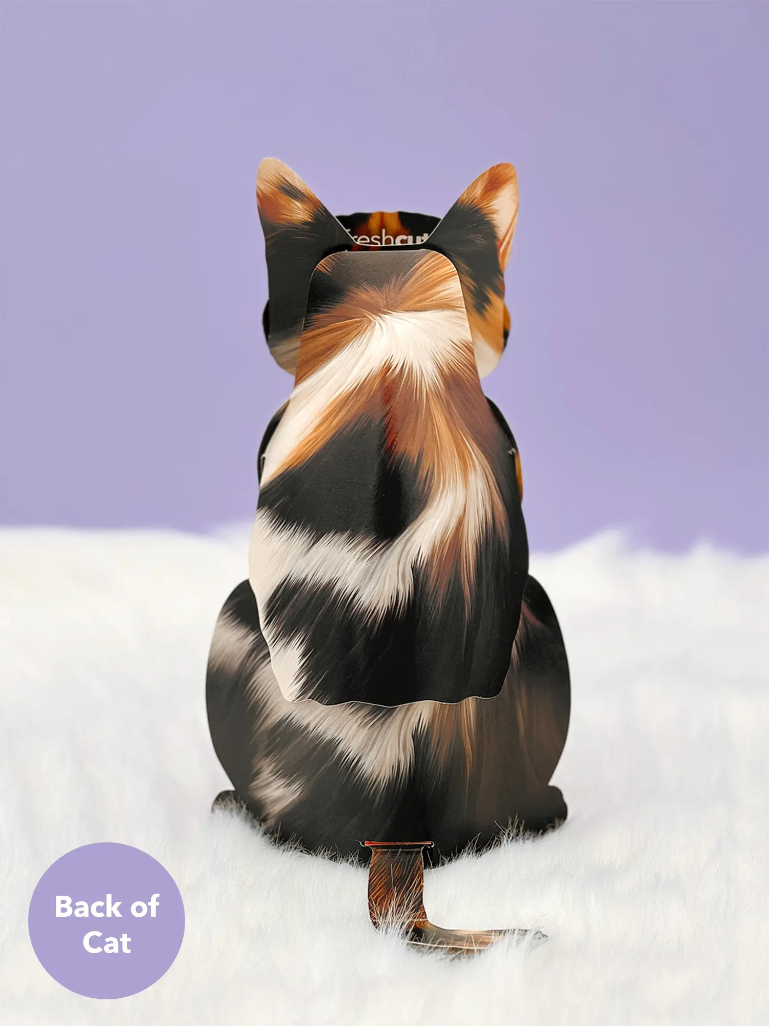 Calico Cat - Image 4