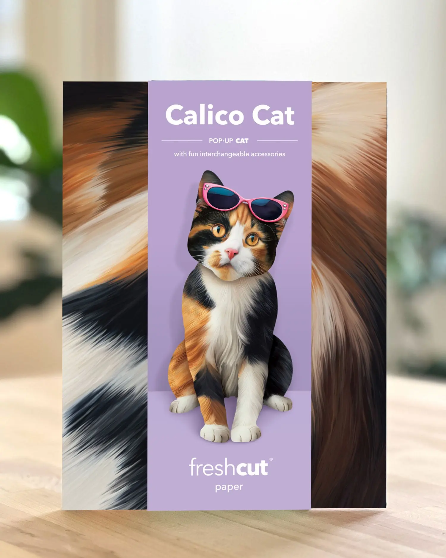 Calico Cat - Image 5