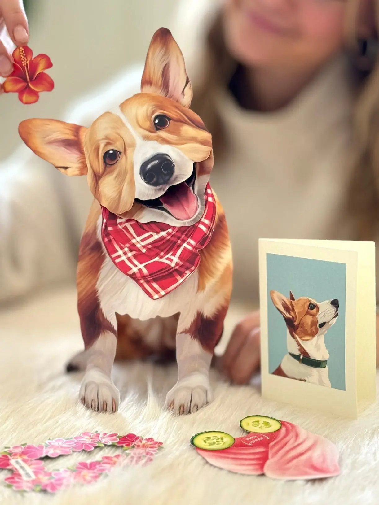 Corgi - Image 3