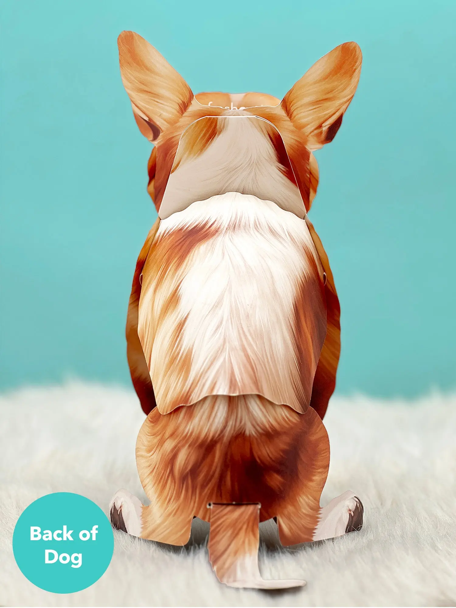 Corgi - Image 4