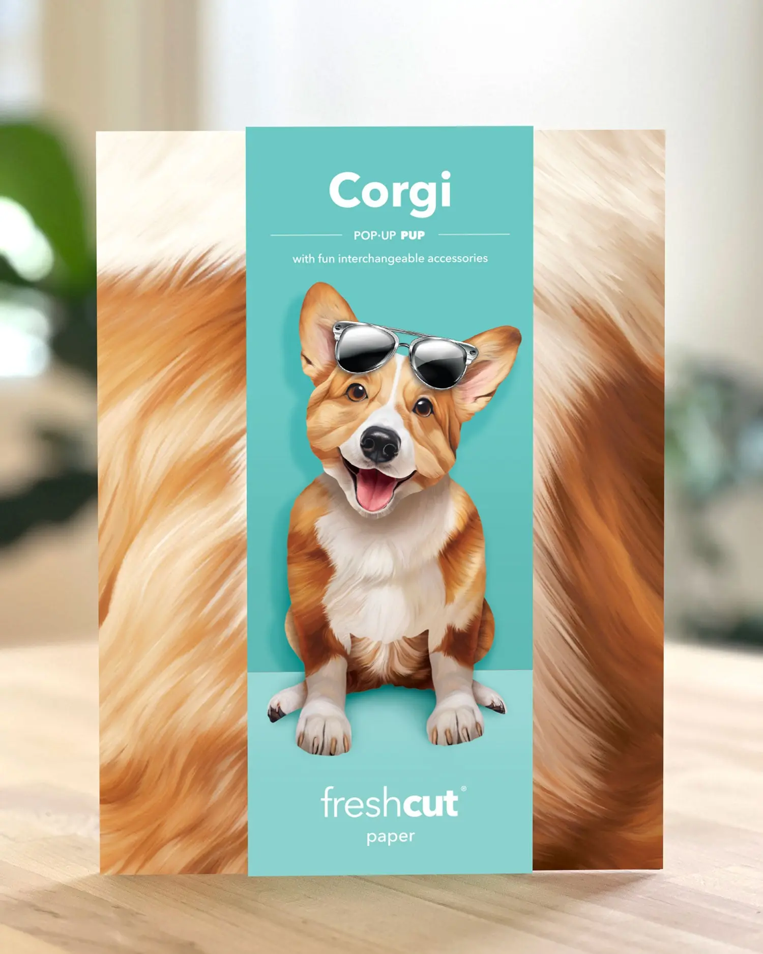 Corgi - Image 5