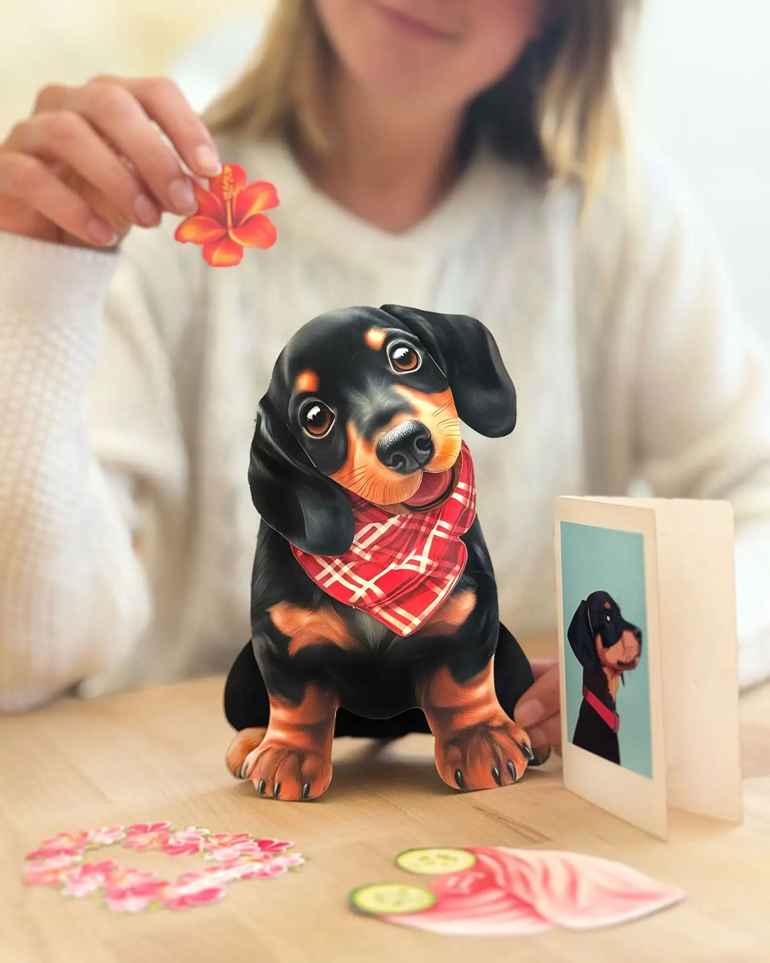 Dachshund - Image 3