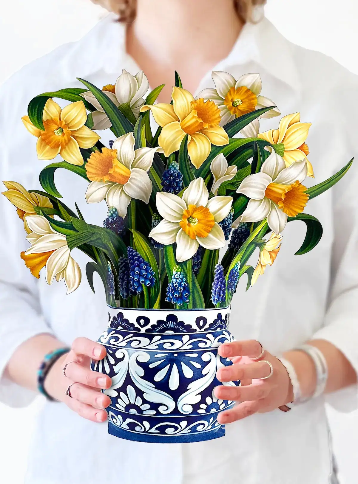 English Daffodils - Image 2