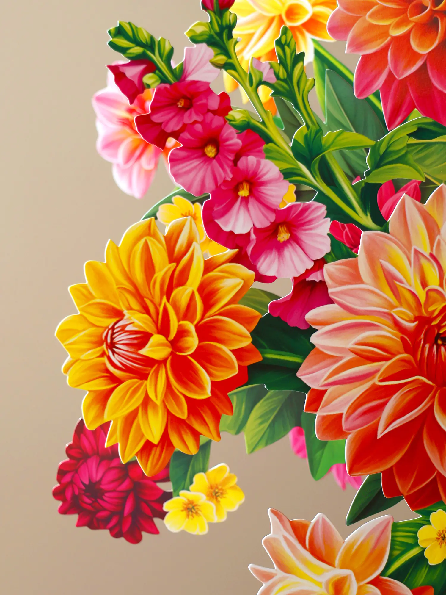 Dahlia Sunrise - Image 3
