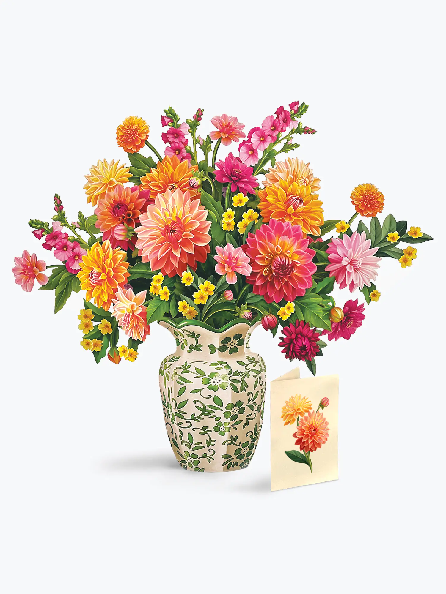 Dahlia Sunrise - Image 5
