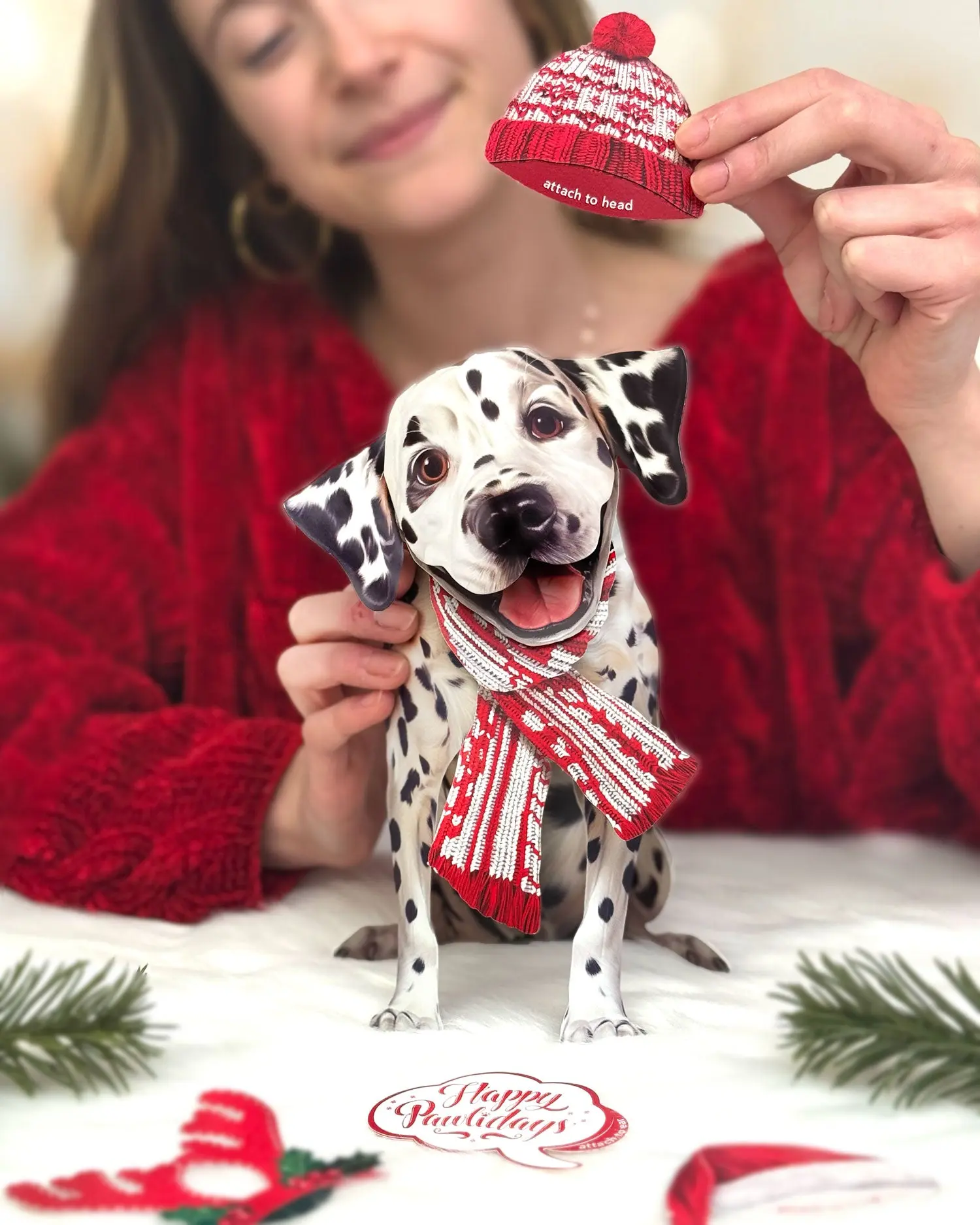 Holiday Dalmatian - Image 2