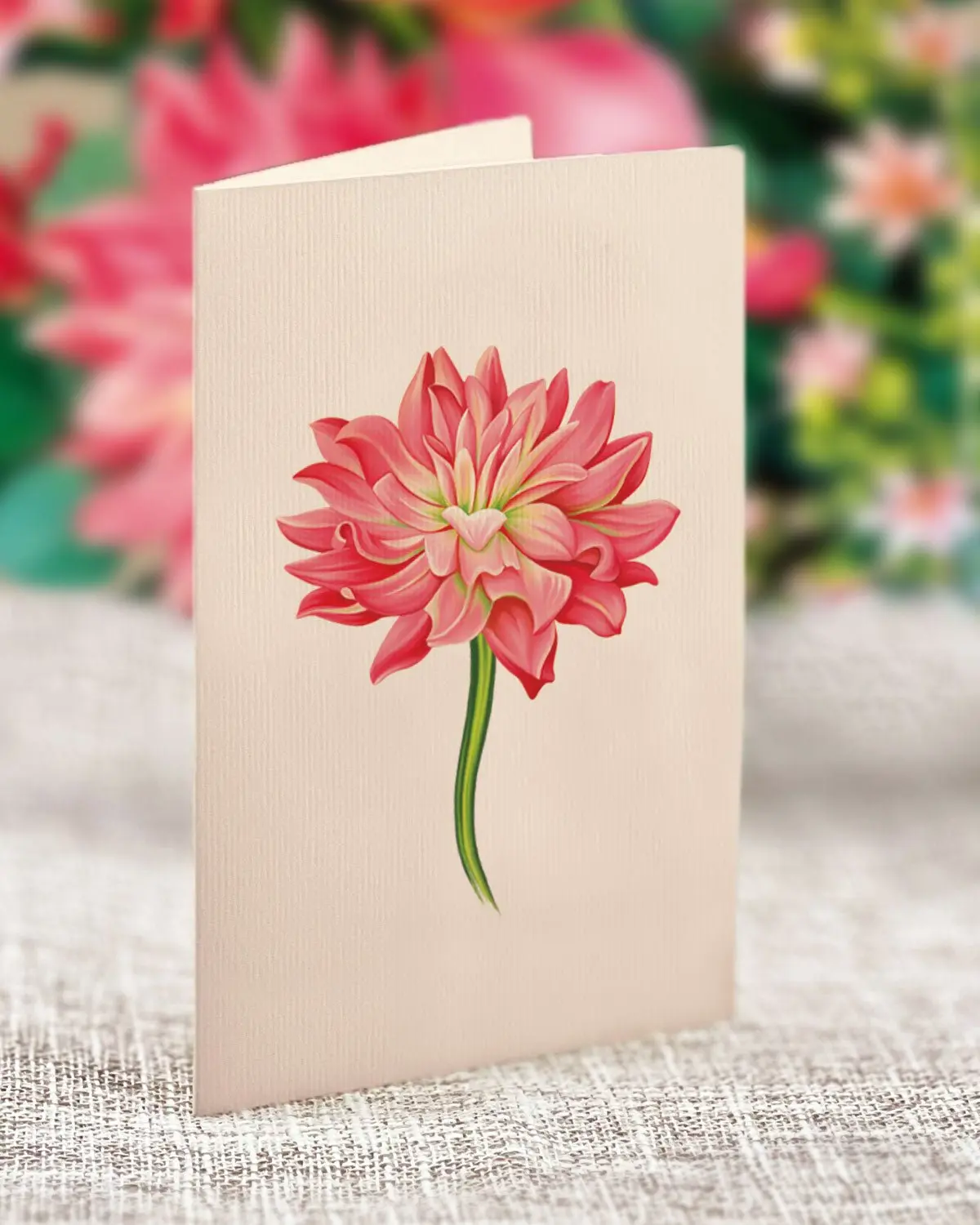 Dear Dahlia - Image 5