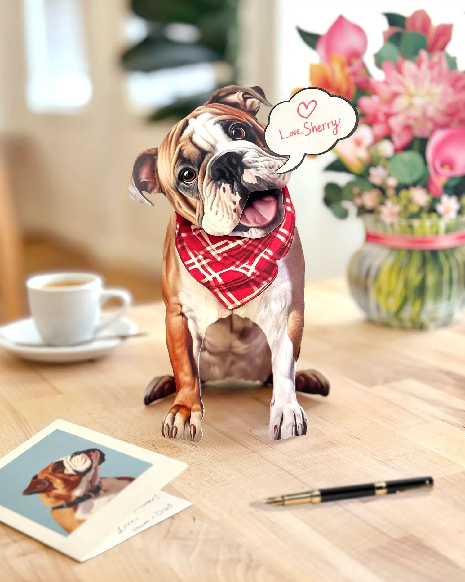 English Bulldog