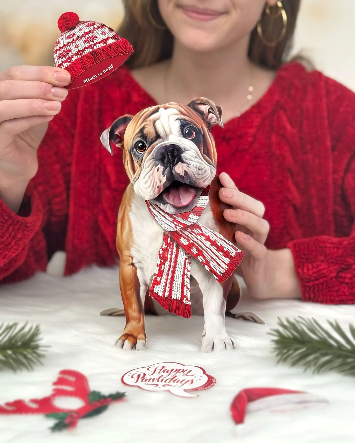Holiday English Bulldog - Image 2