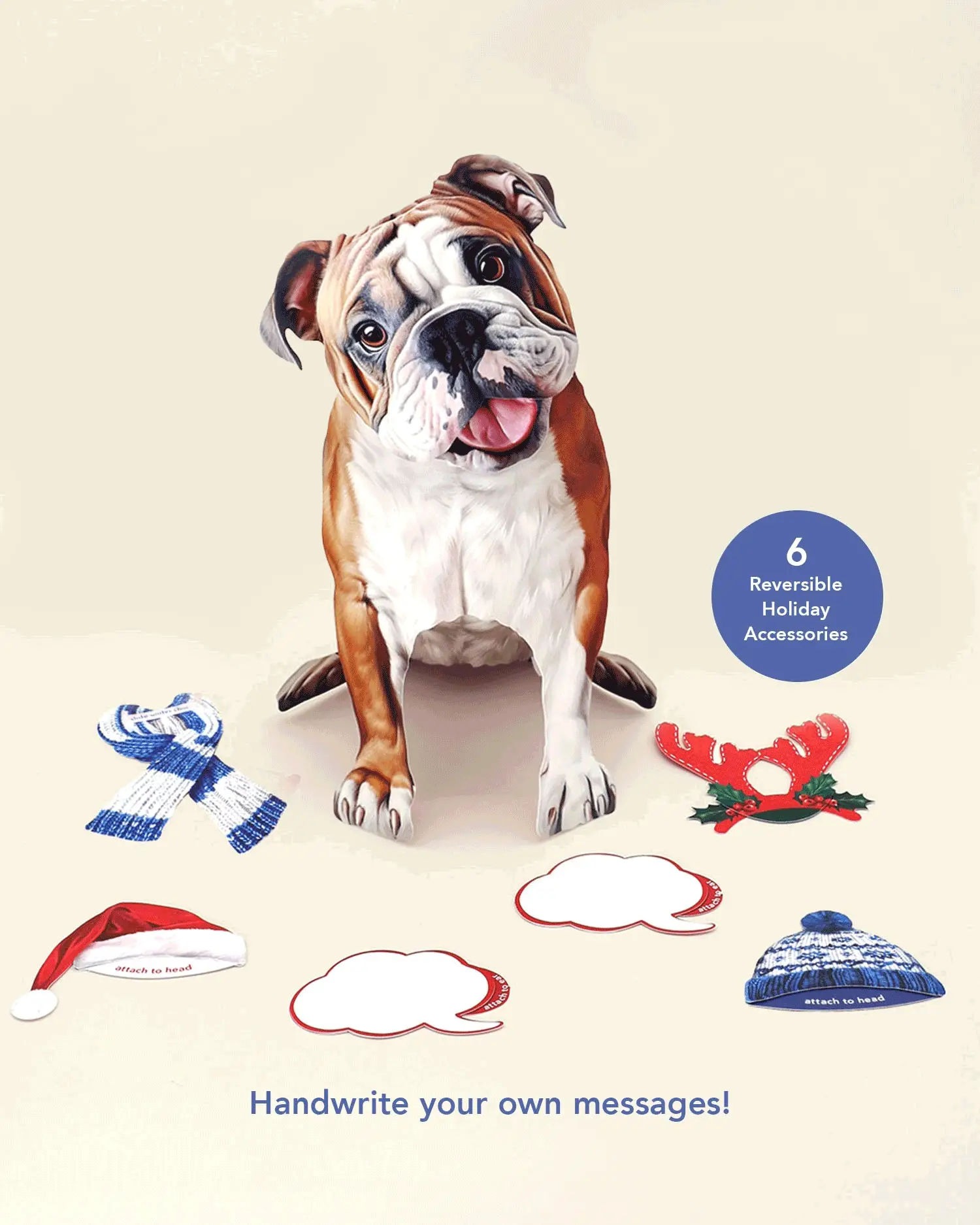 Holiday English Bulldog - Image 3