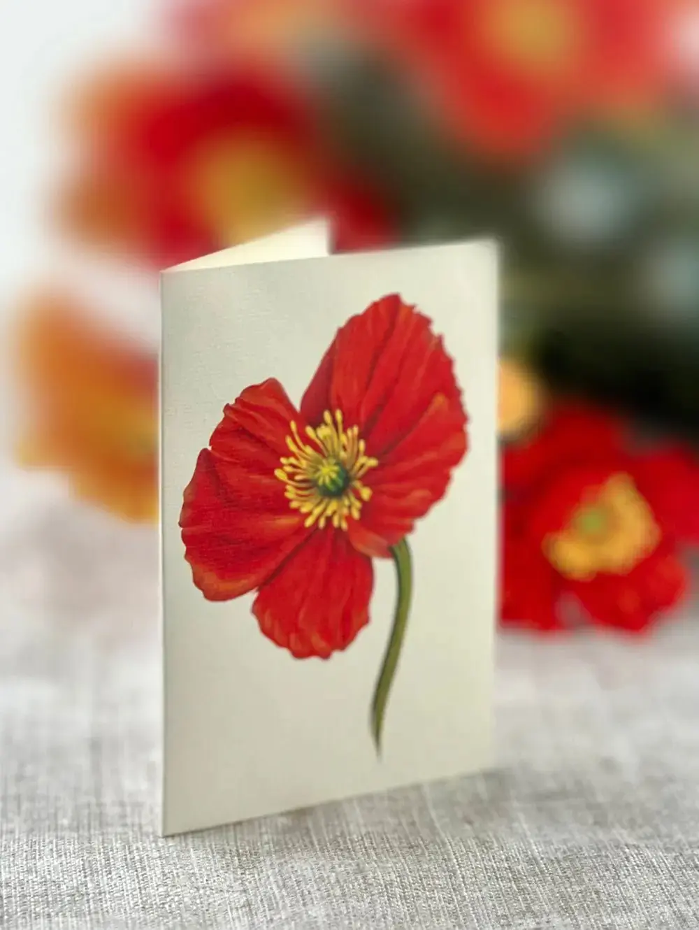 French Poppies - Image 5