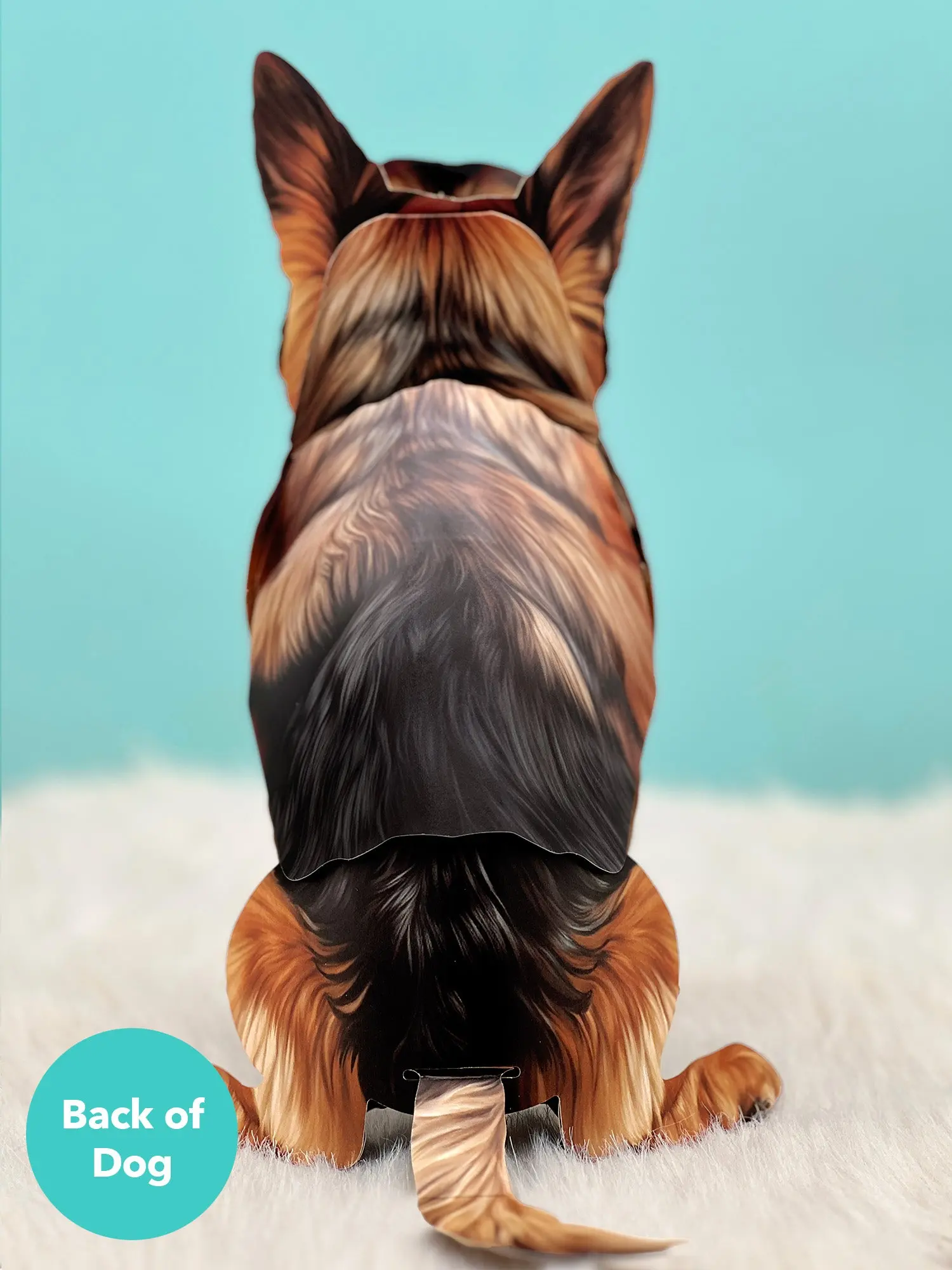 German Shepherd - Image 3
