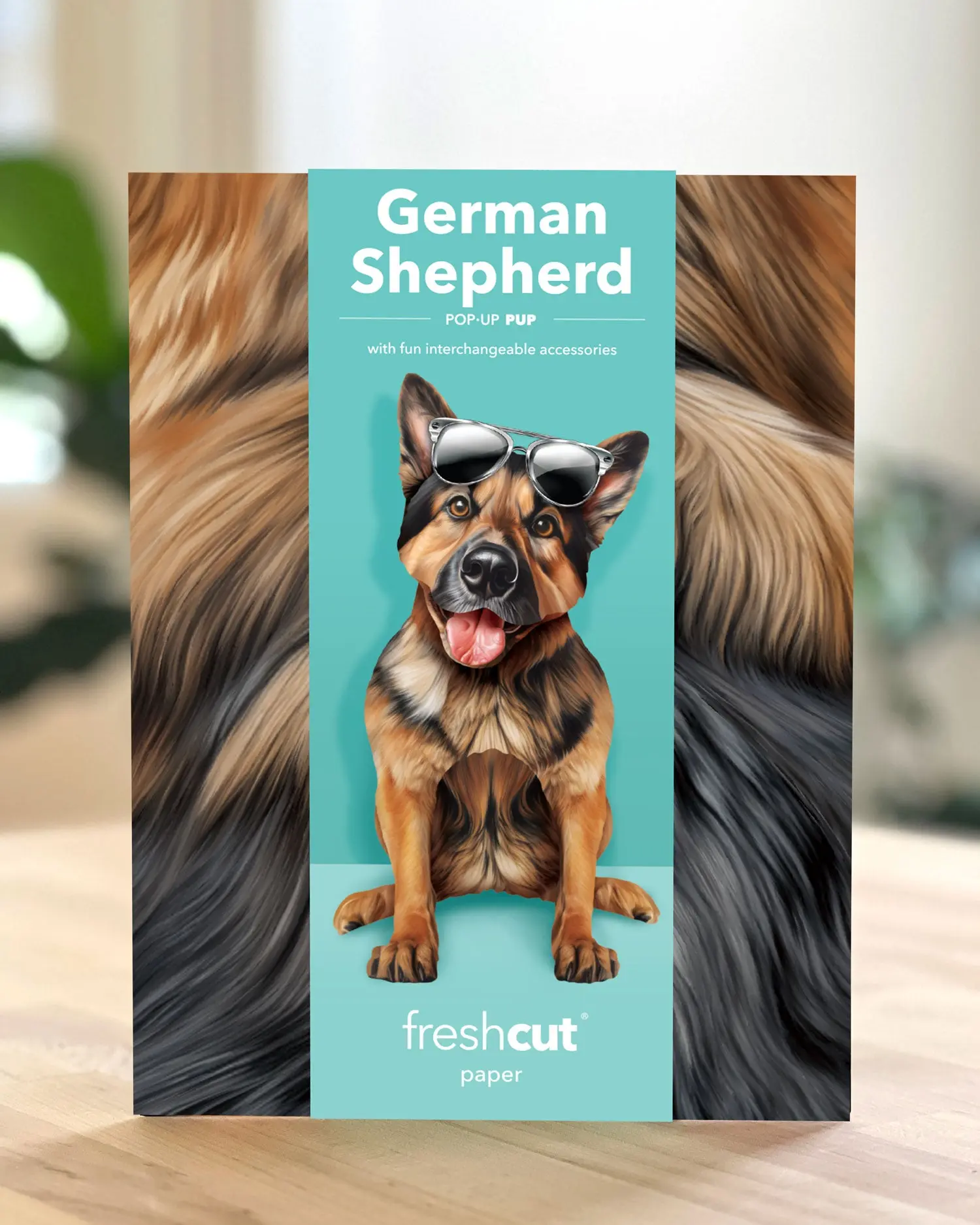 German Shepherd - Image 4