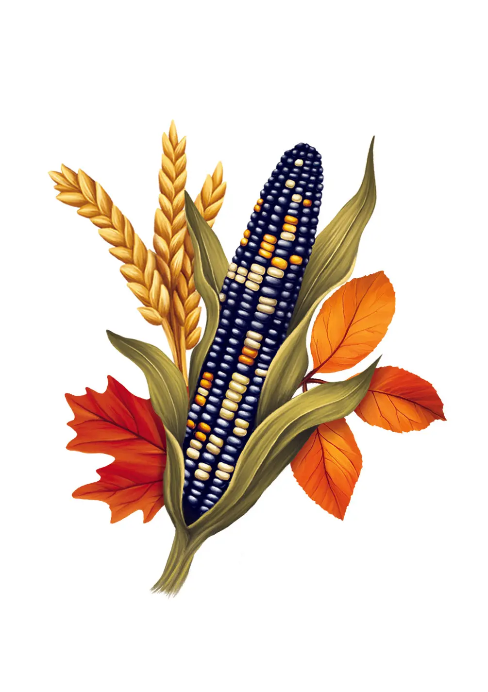 Golden Harvest Card