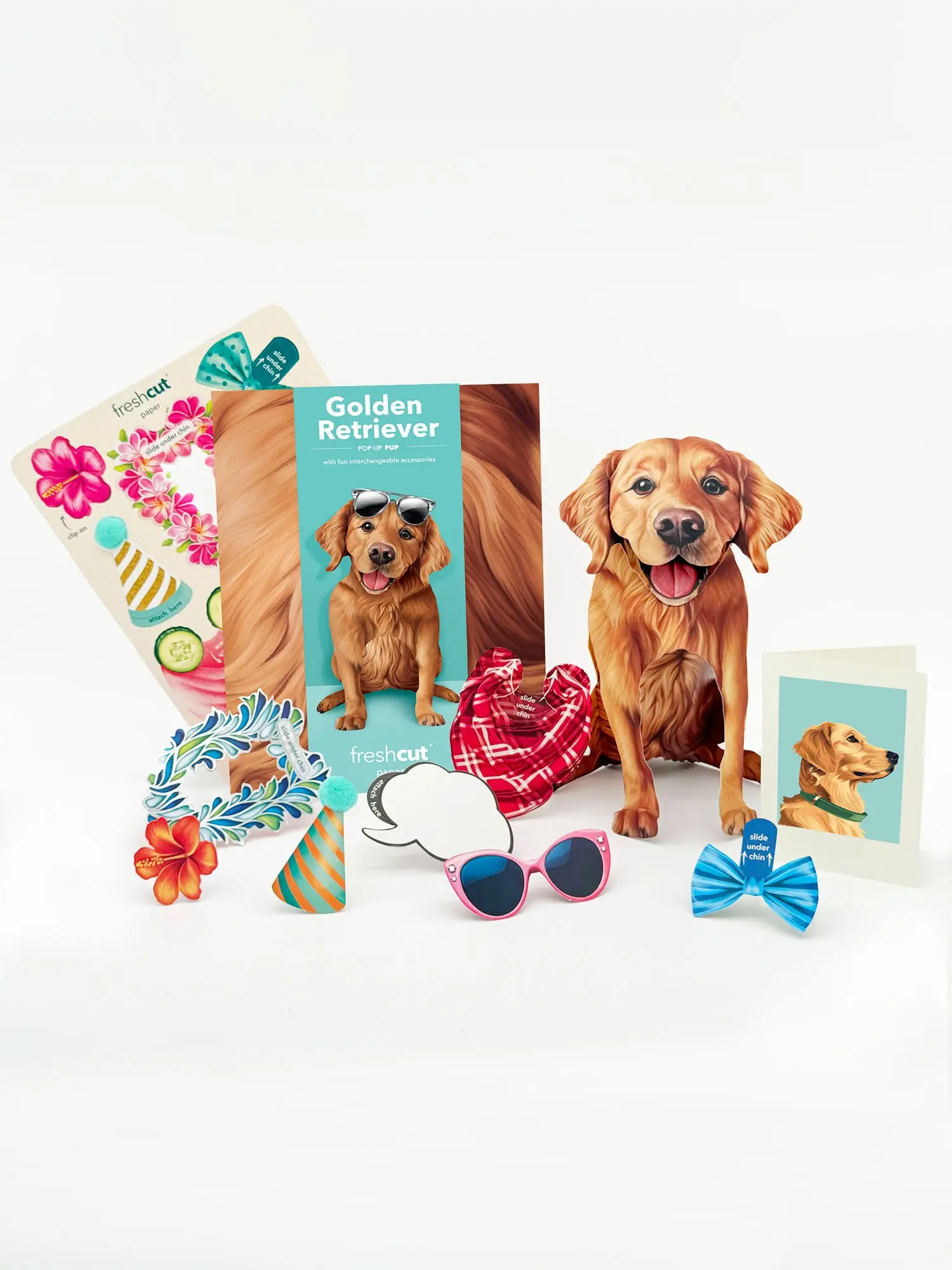 Golden Retriever - Image 2