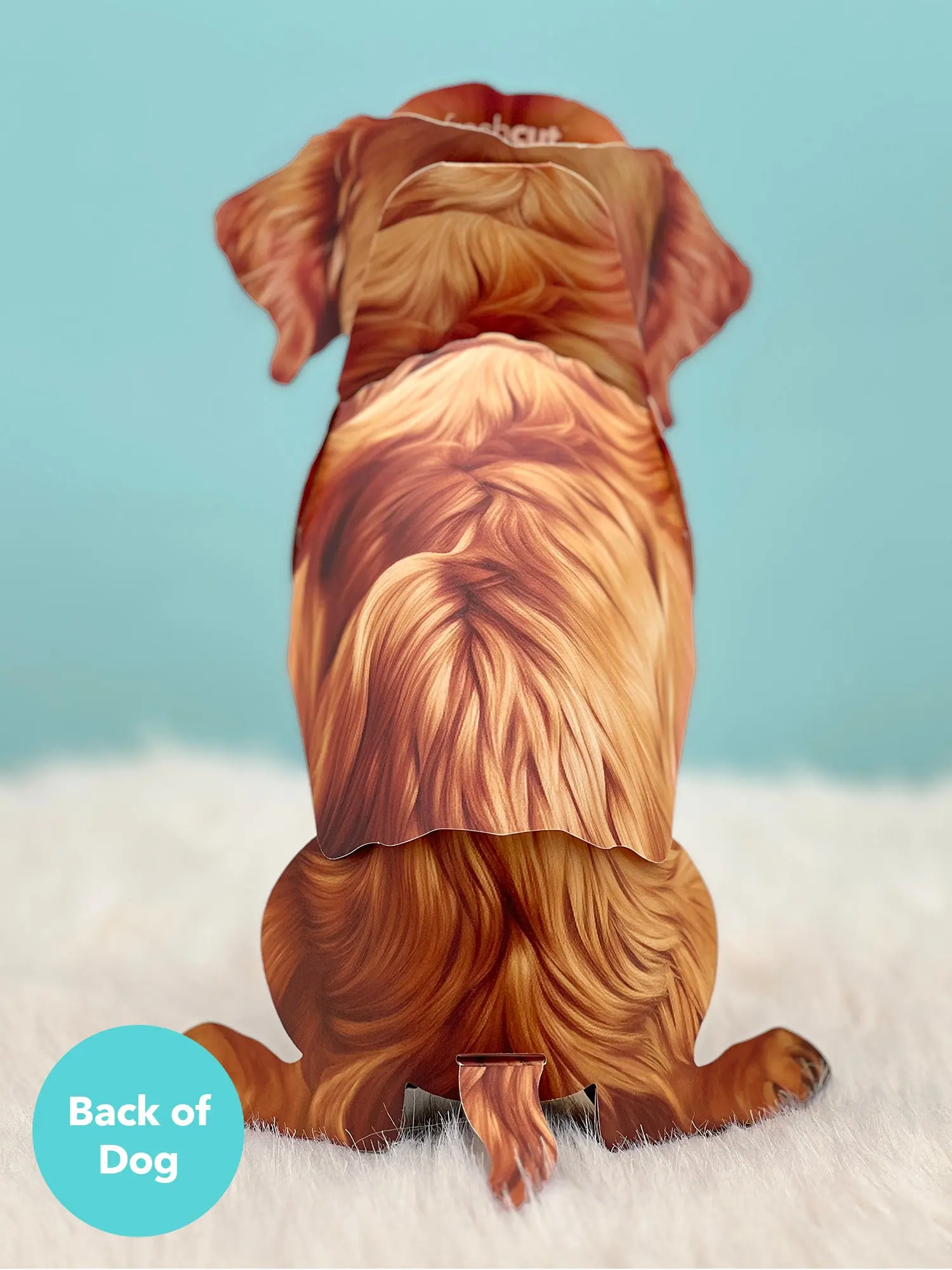Golden Retriever - Image 3