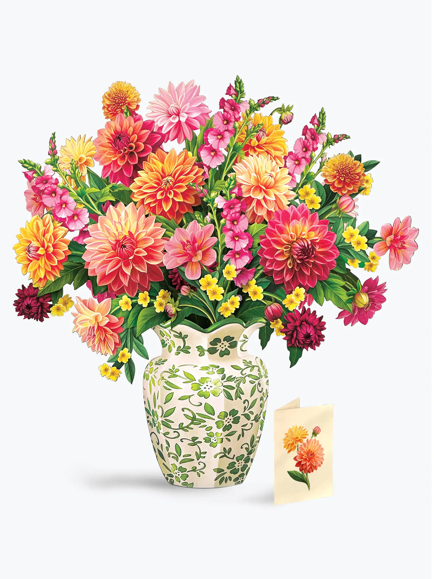 Grande Dahlia Sunrise - Image 5
