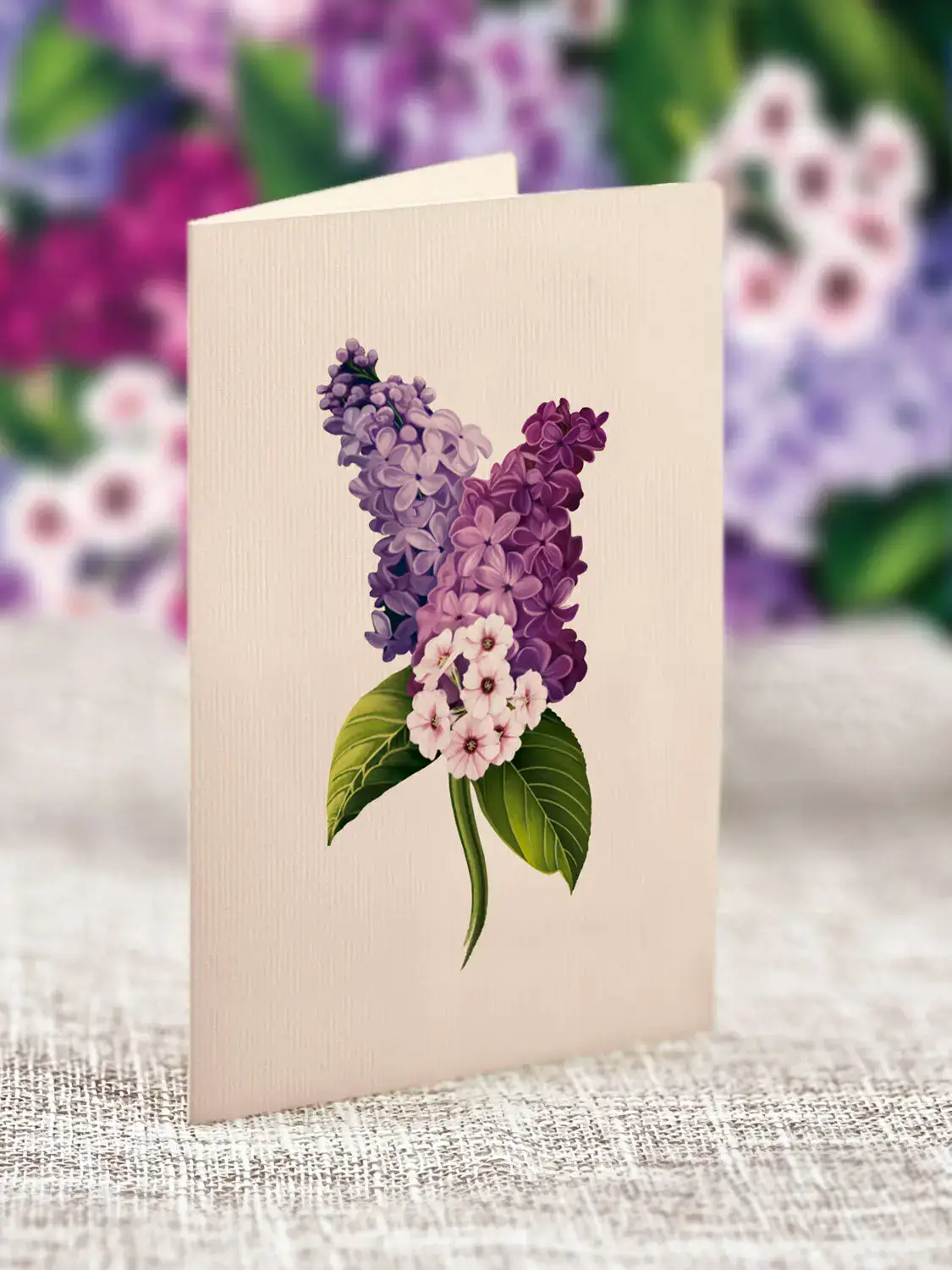 Grande Garden Lilacs - Image 6