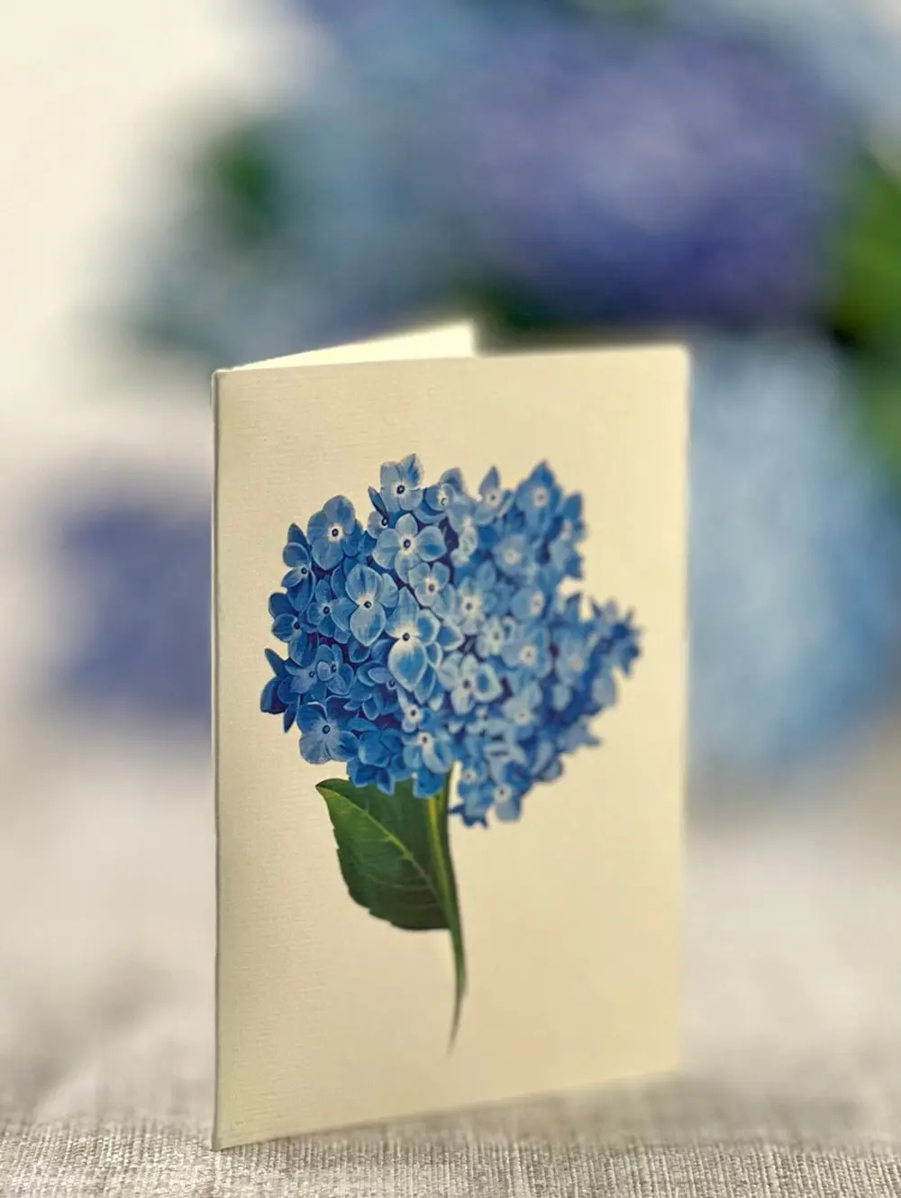 Grande Nantucket Hydrangea - Image 5