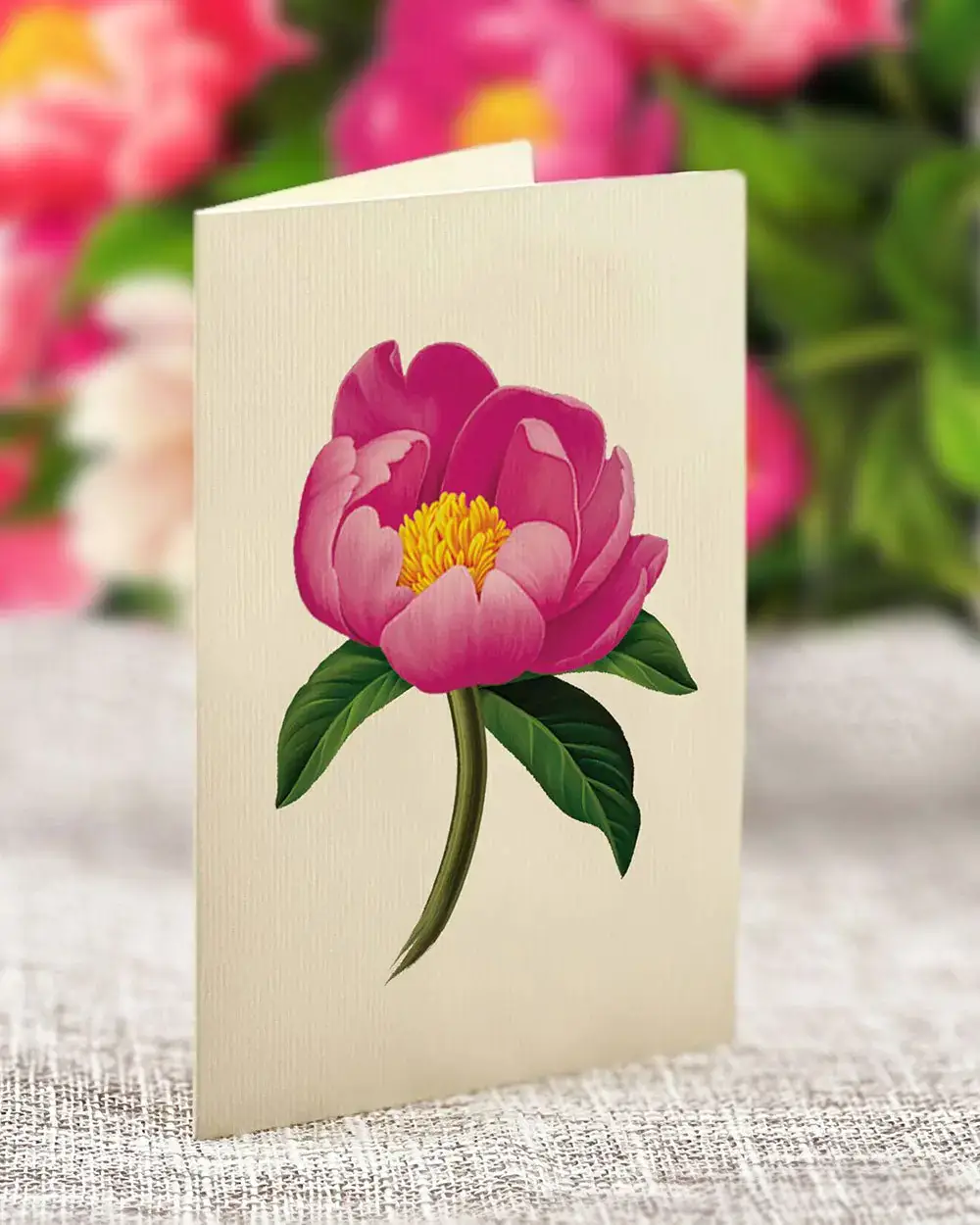 Grande Peony Paradise - Image 6