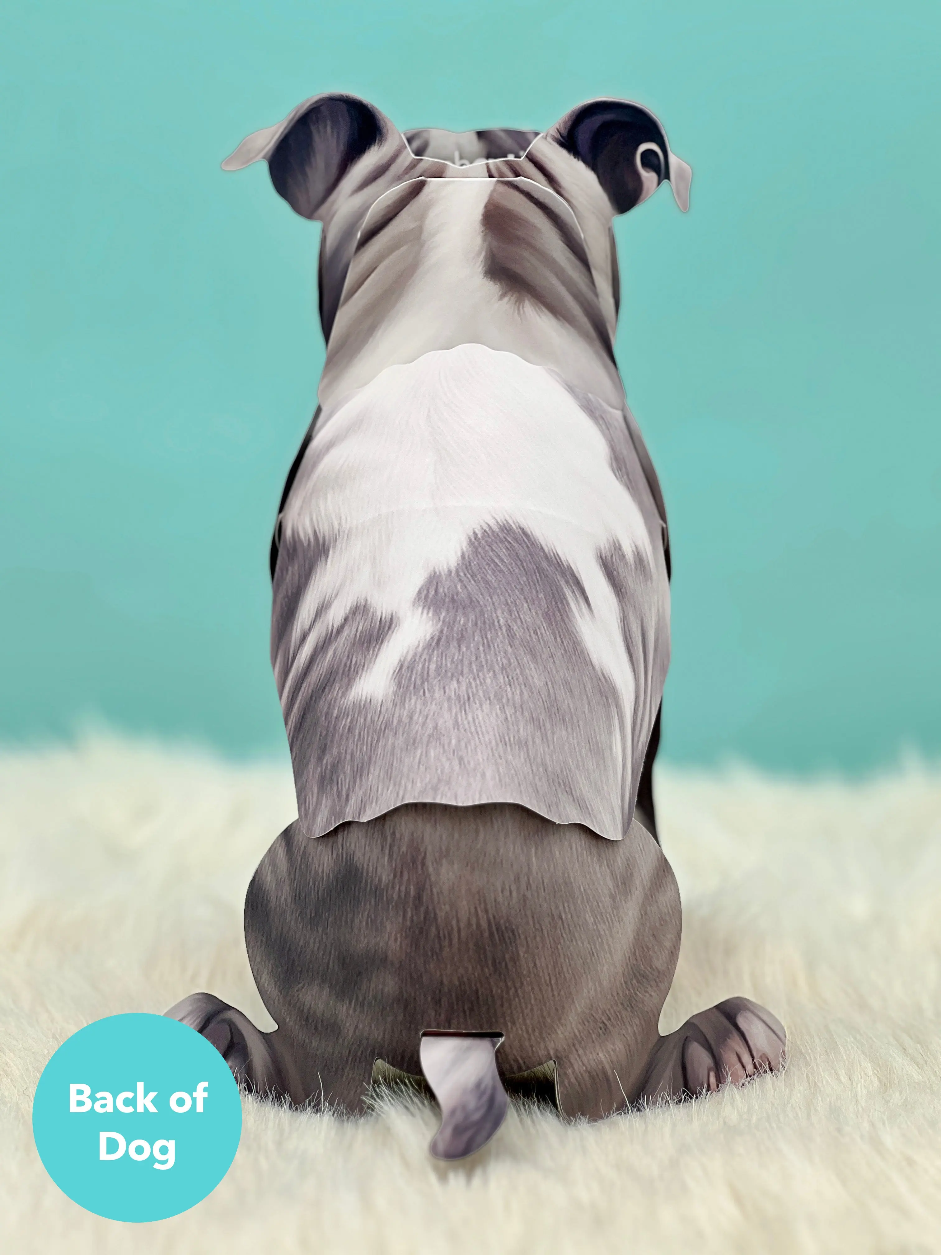 Pit Bull - Image 3