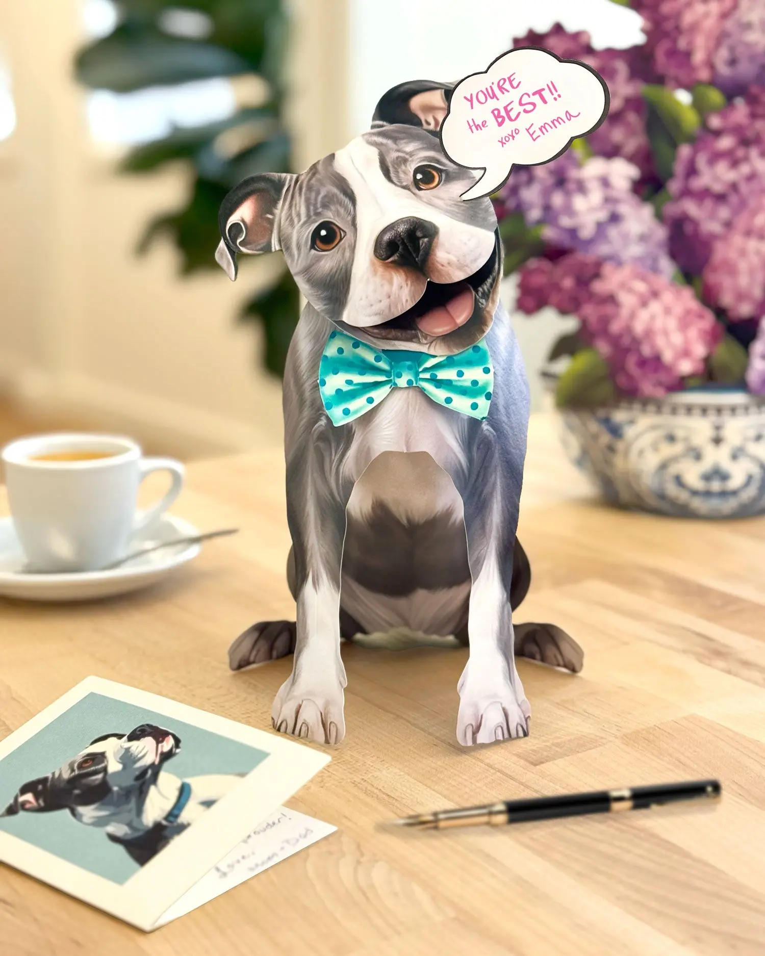 Pit Bull - Image 4