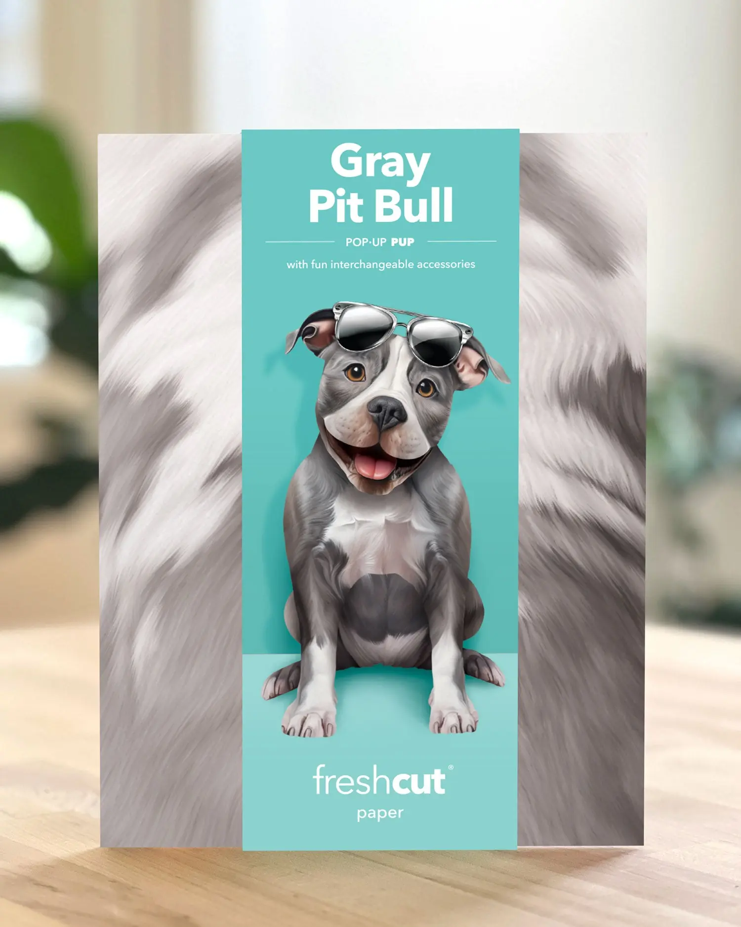 Pit Bull - Image 5
